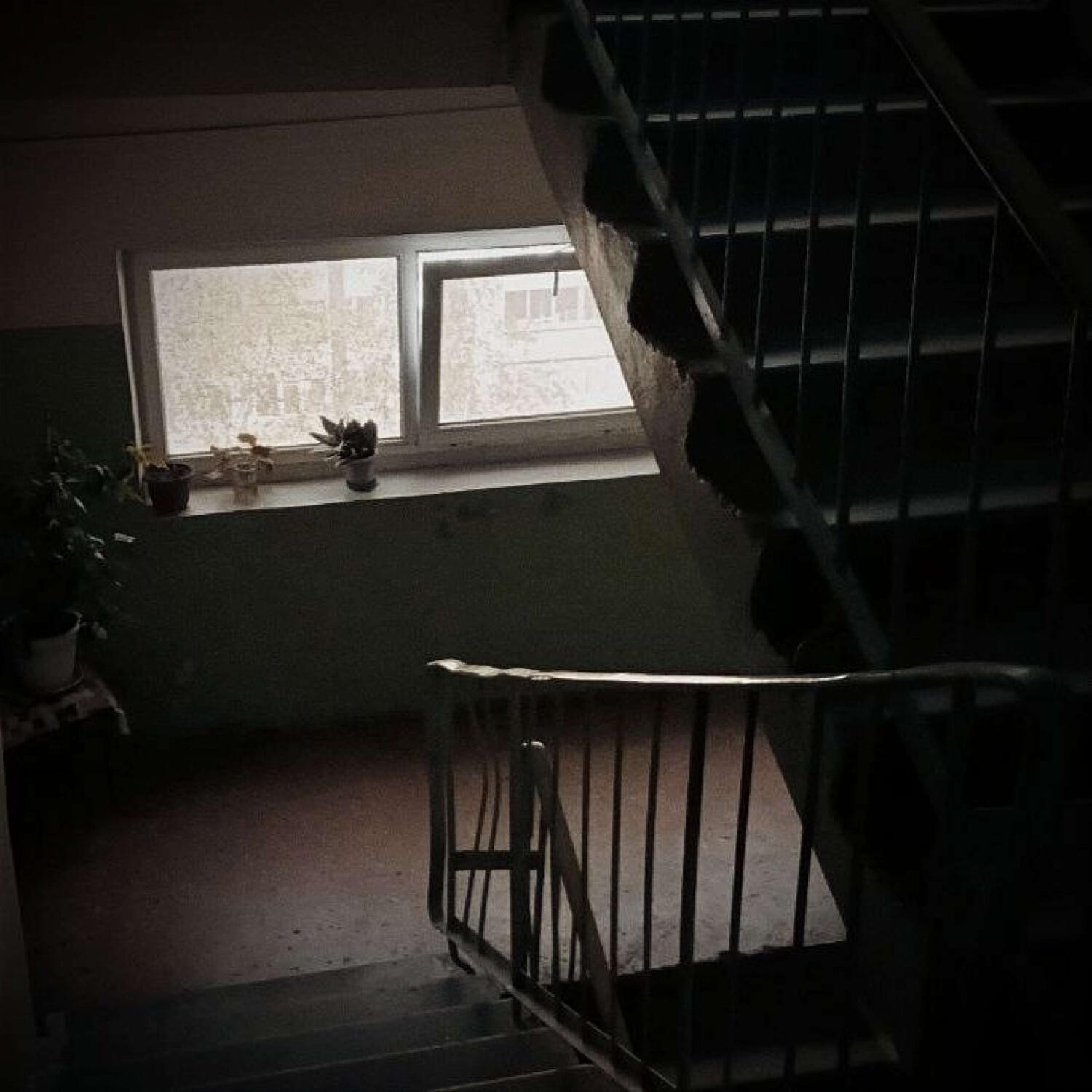 Релиз Dreams
