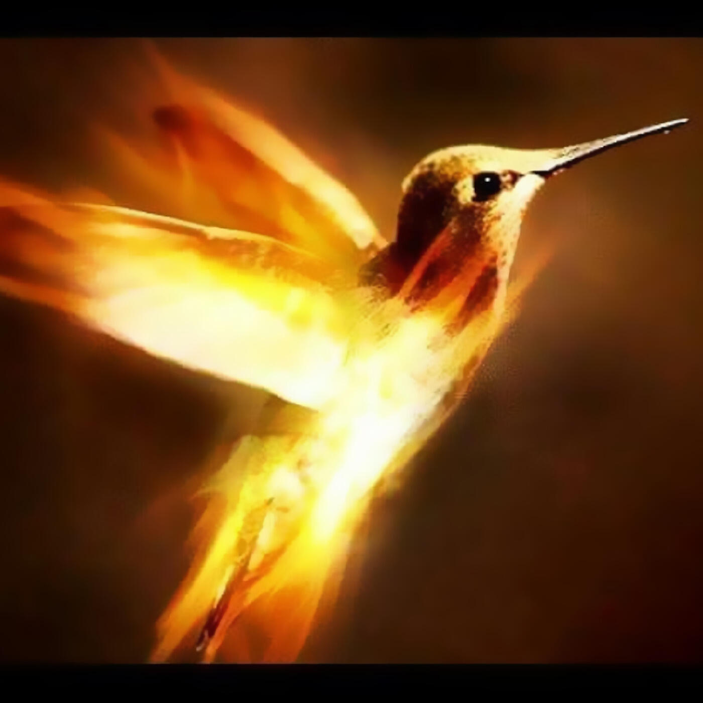 Релиз Beija-Flor De Fogo