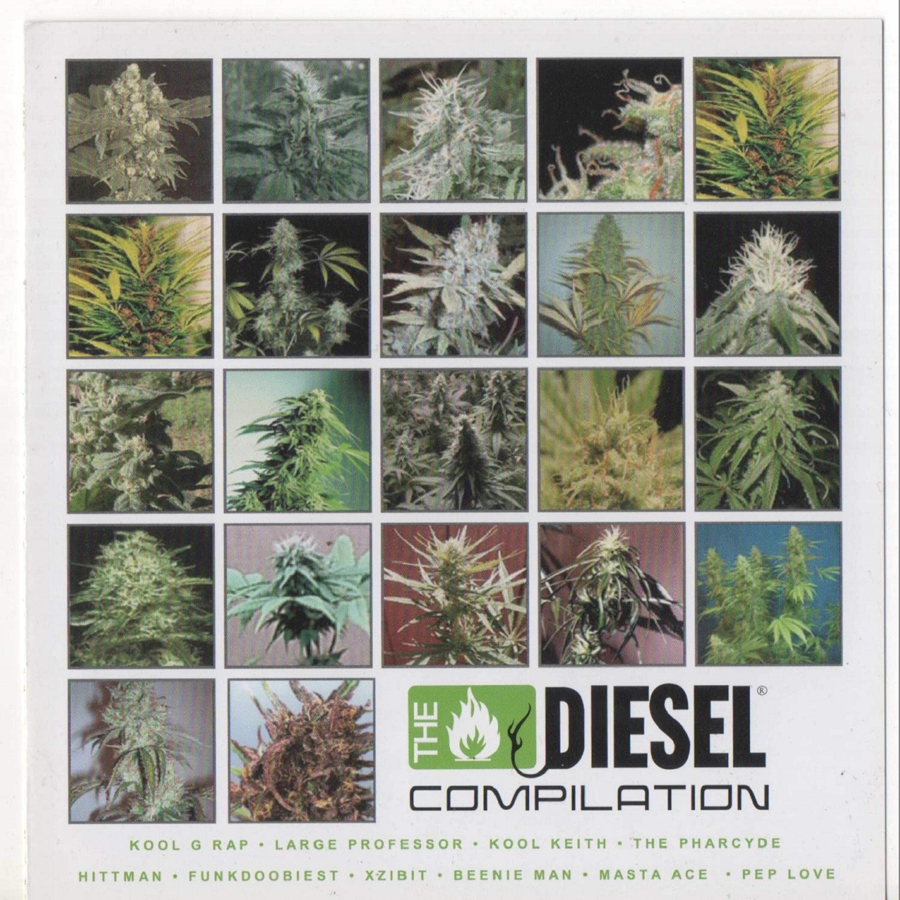 Релиз Diesel Compilation: Sickbay Records