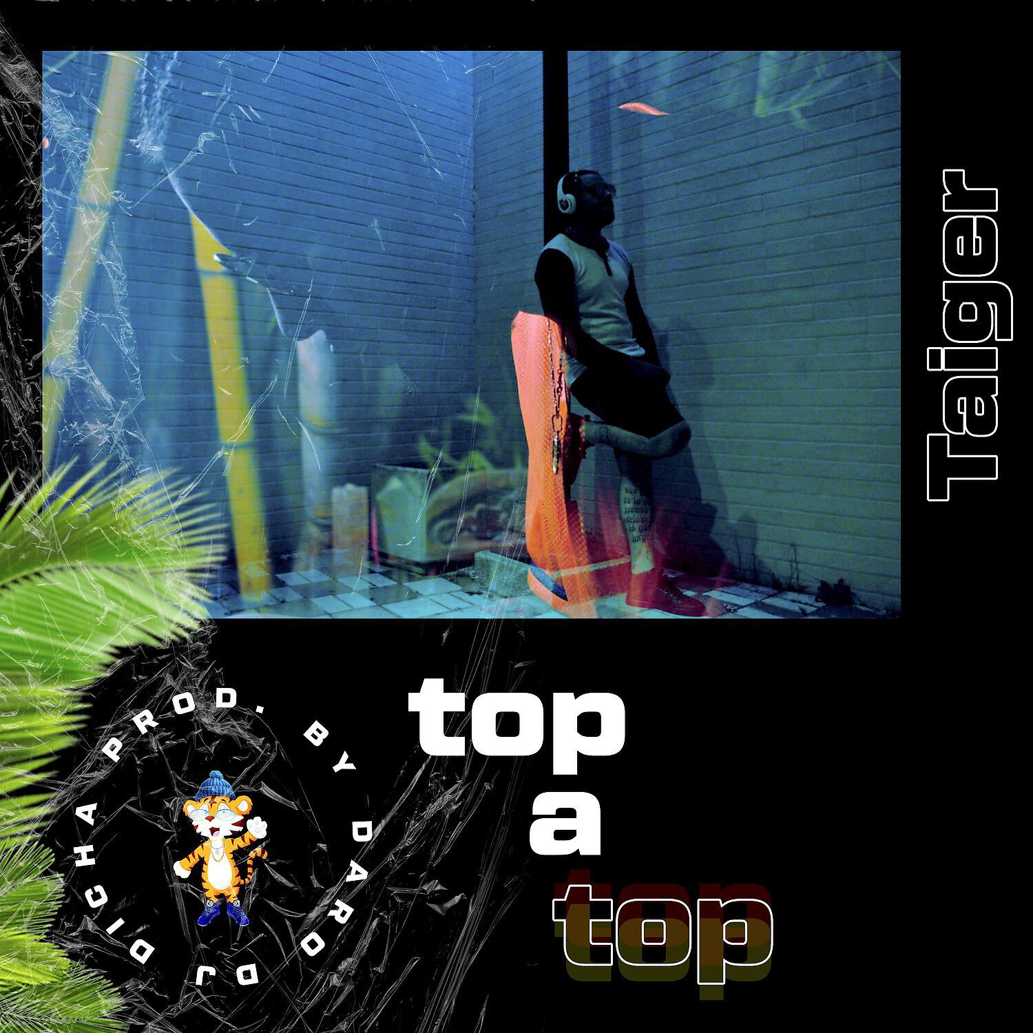 Релиз Top a Top