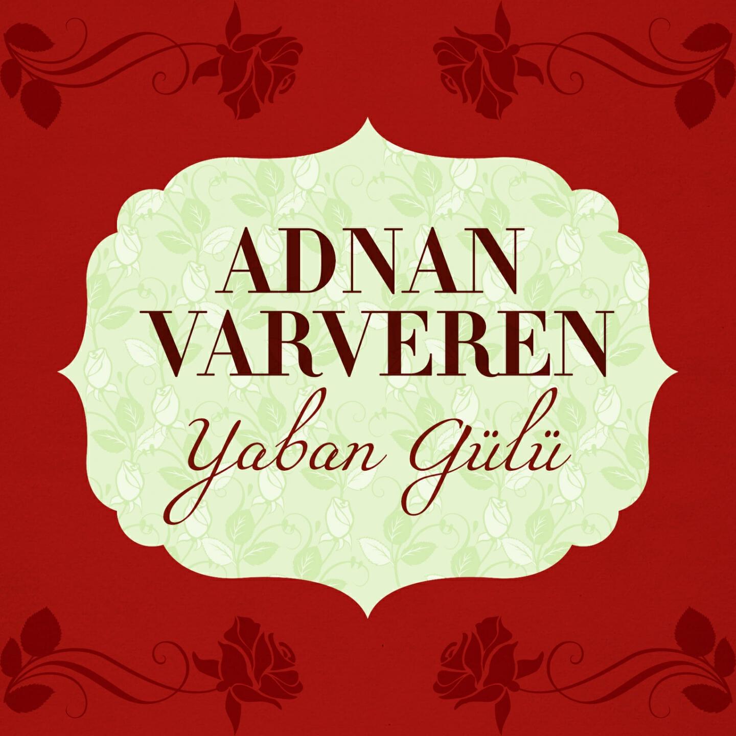 Релиз Yaban Gülü