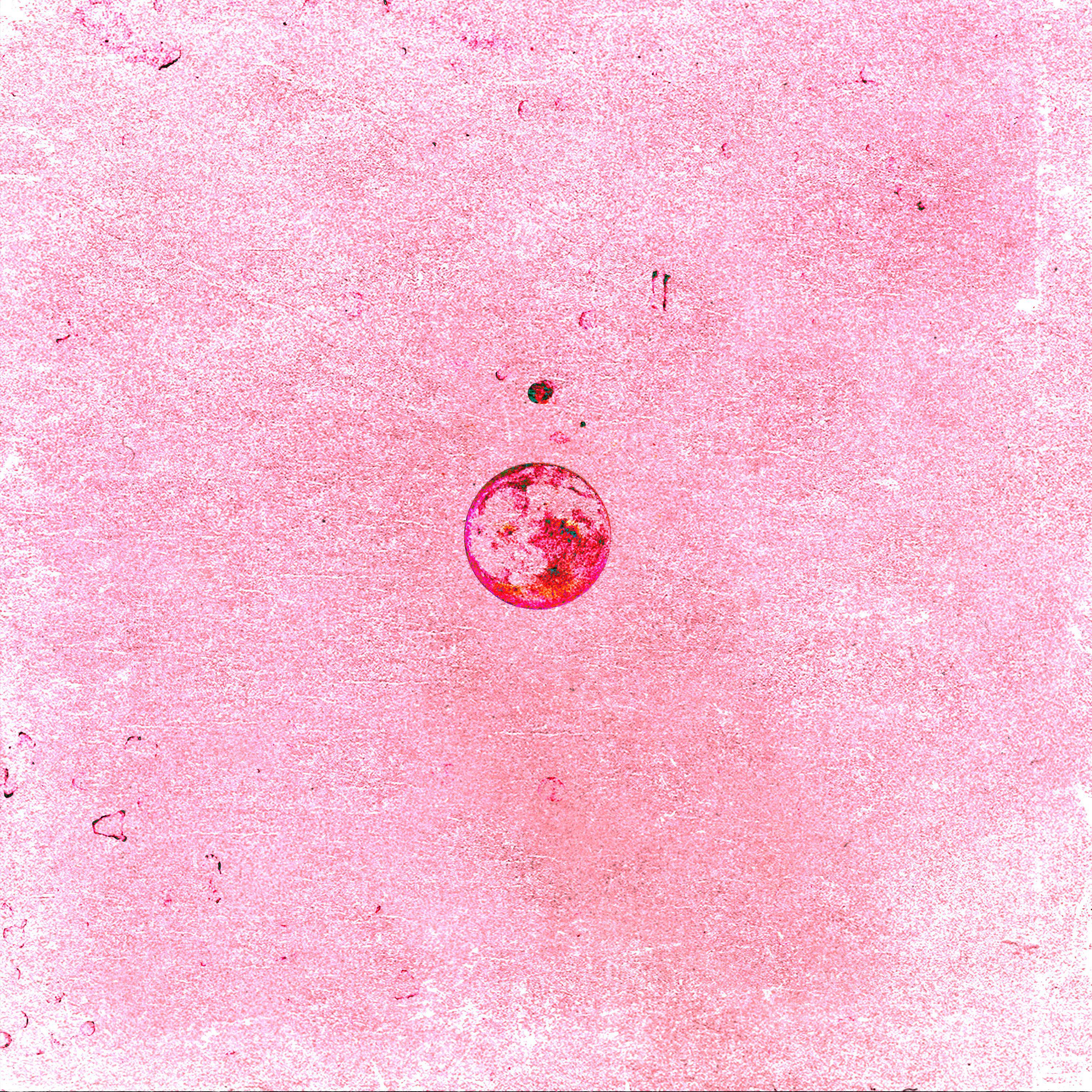 Релиз WhtThMttr?!