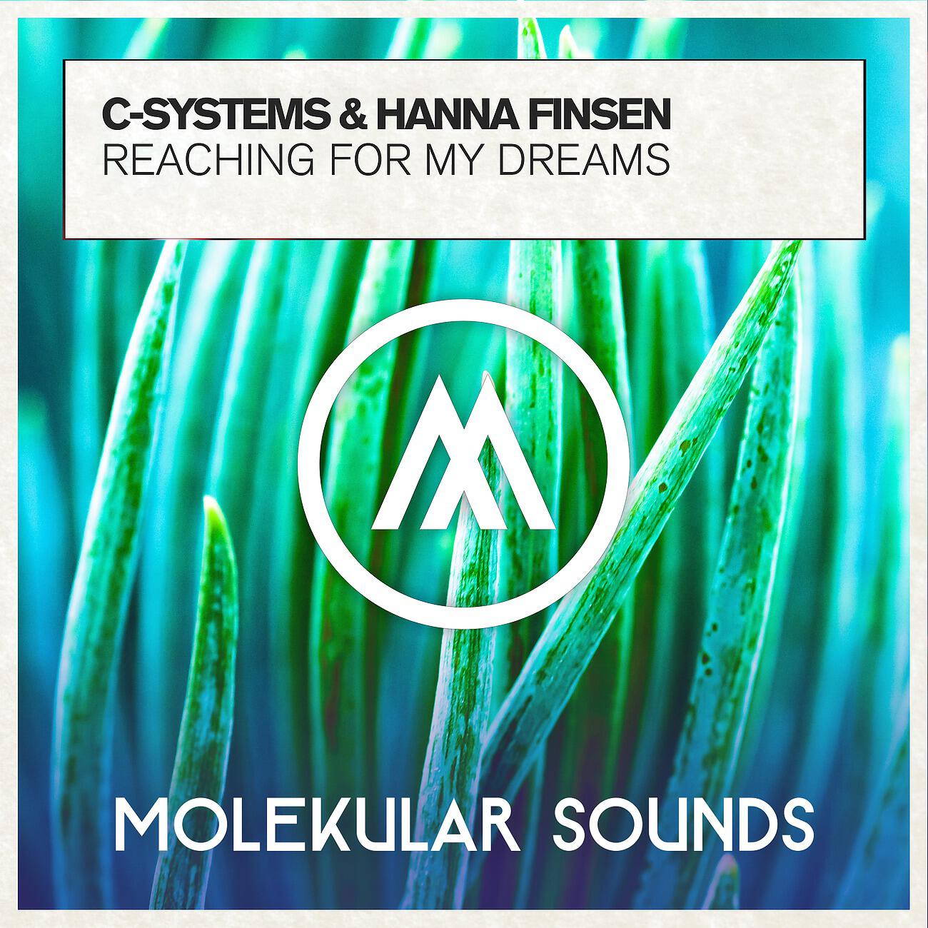 Релиз Reaching For My Dreams