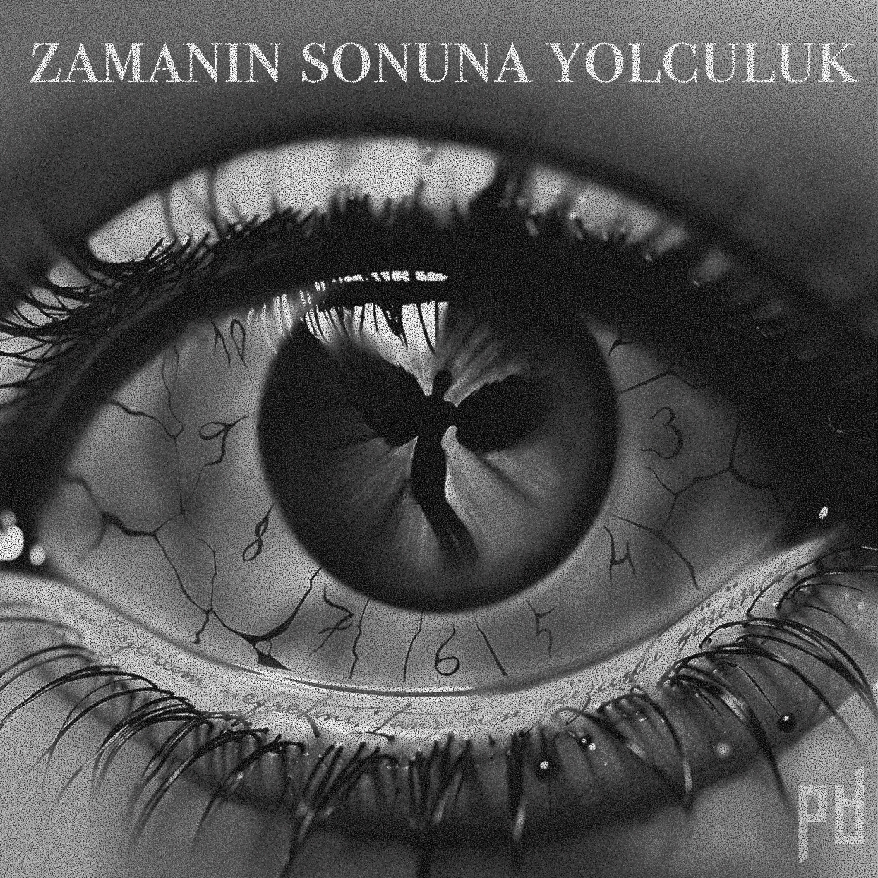 Постер альбома Zamanın Sonuna Yolculuk