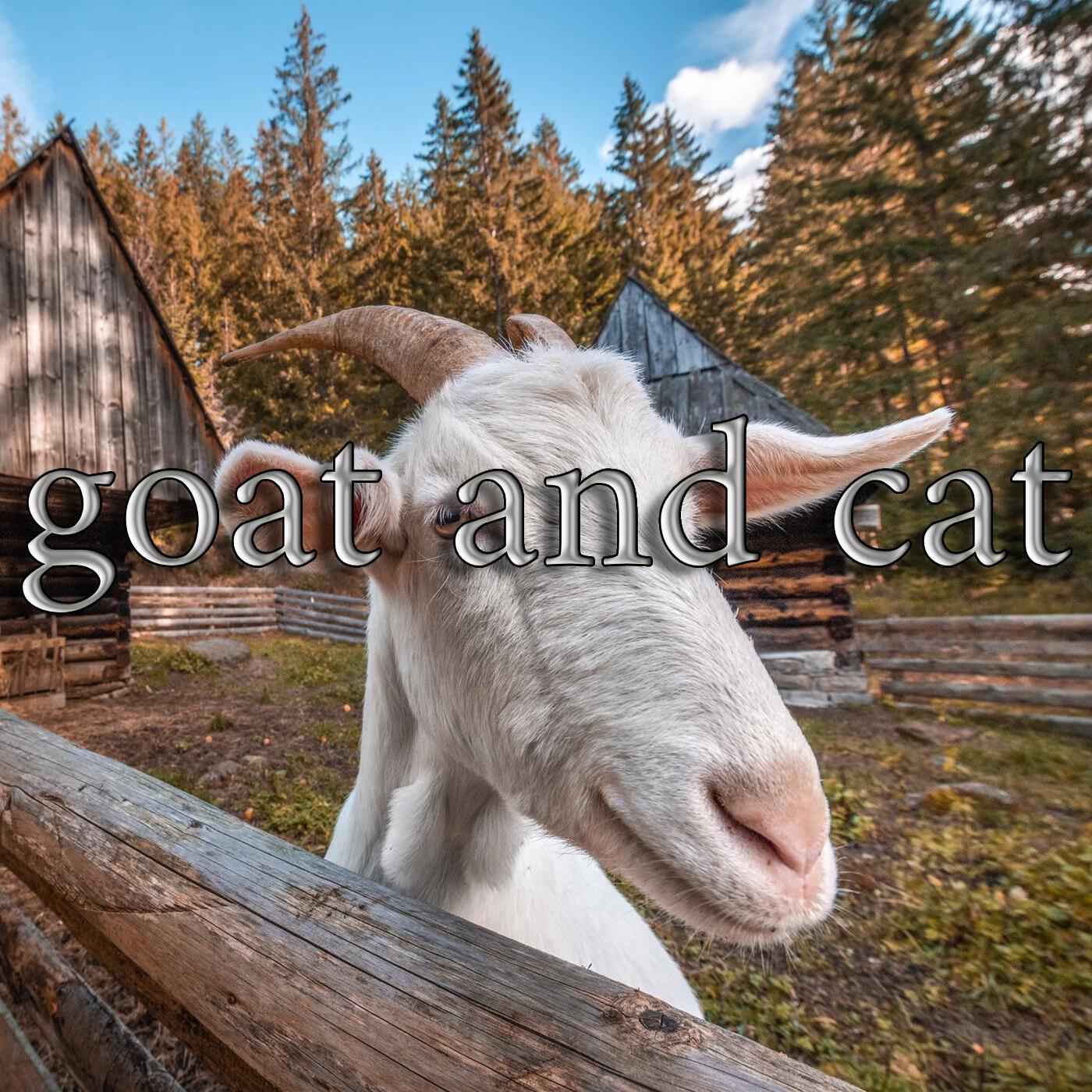 Релиз goat and cat