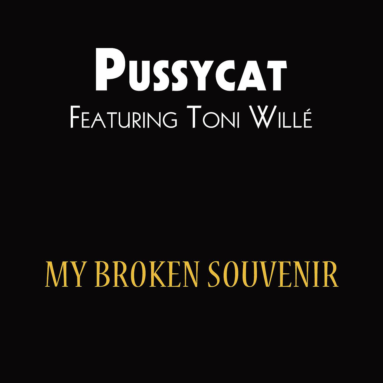 Постер альбома My Broken Souvenir