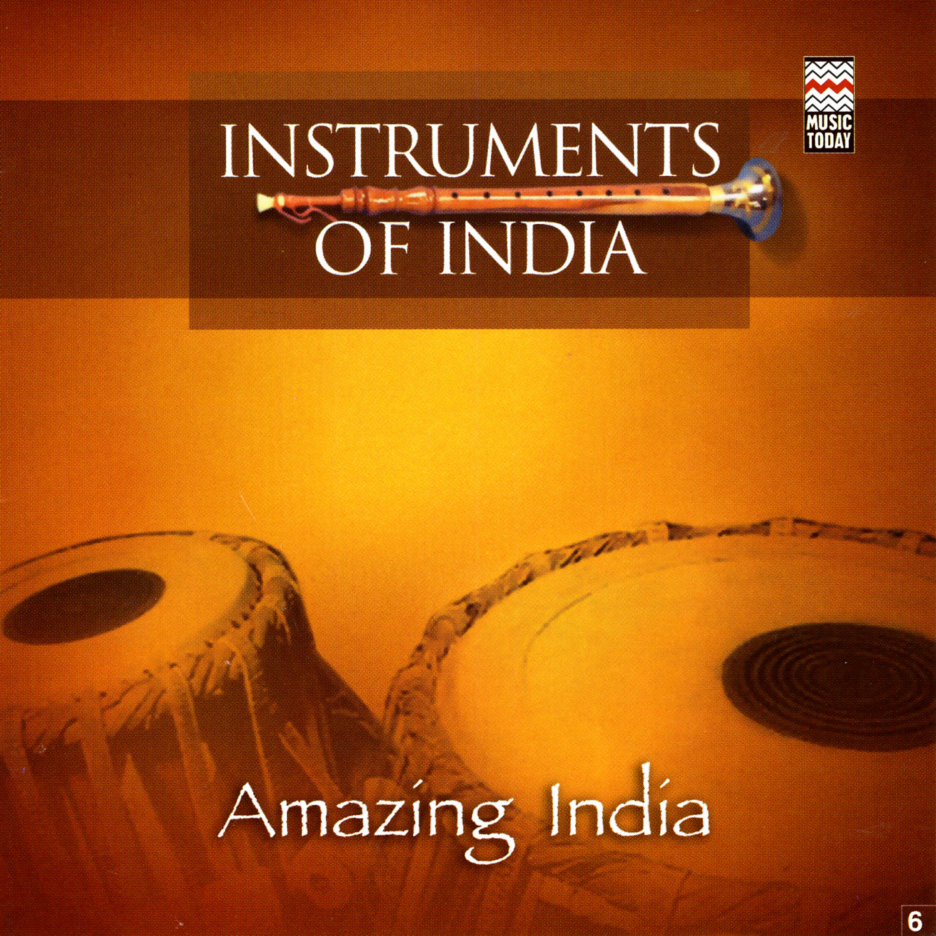 Постер альбома Amazing India