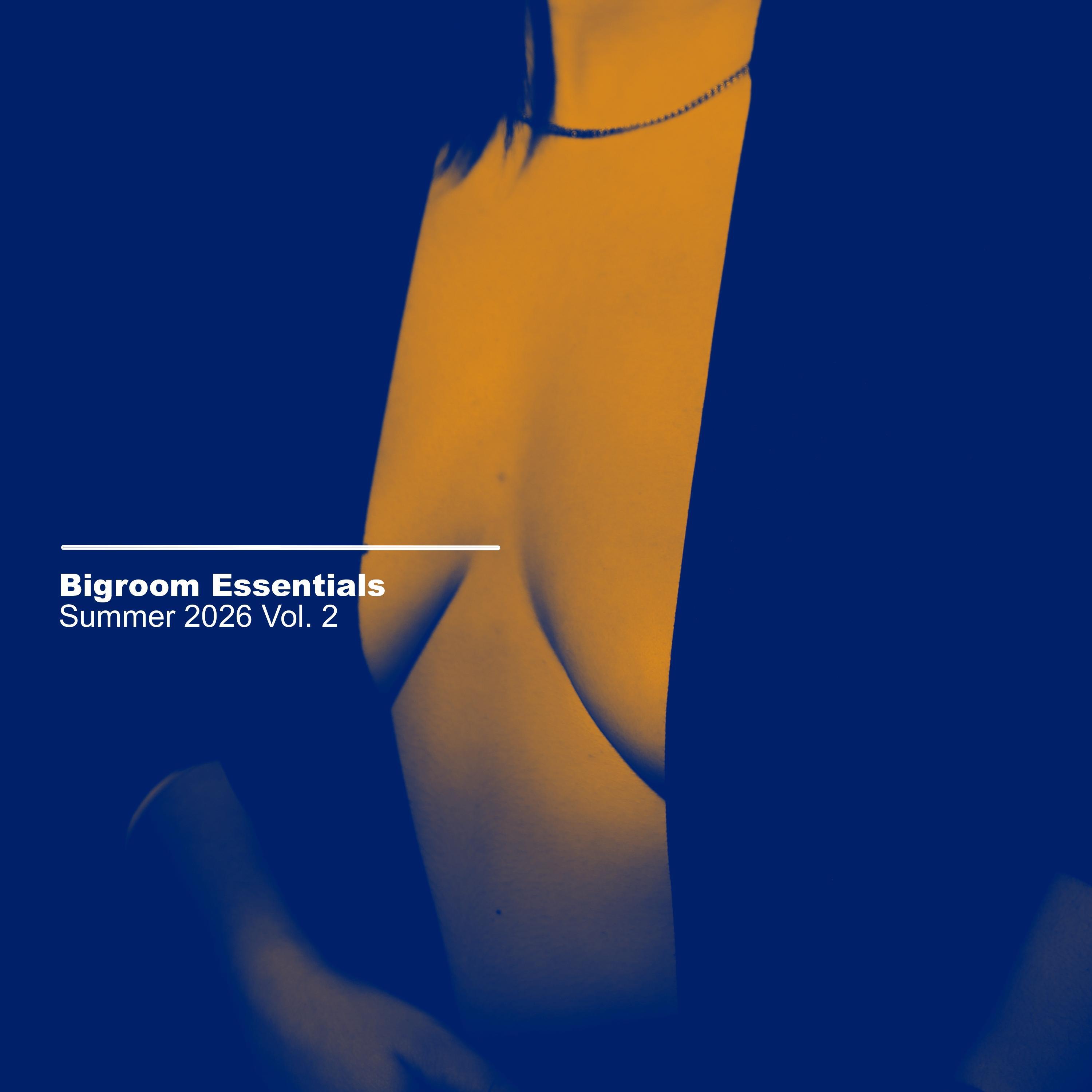 Релиз Bigroom Essentials Summer 2026 Vol. 2