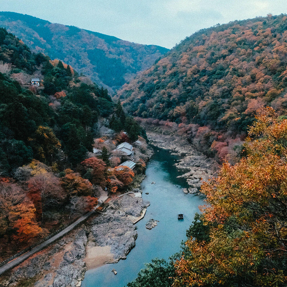 Релиз Lost in Japan II