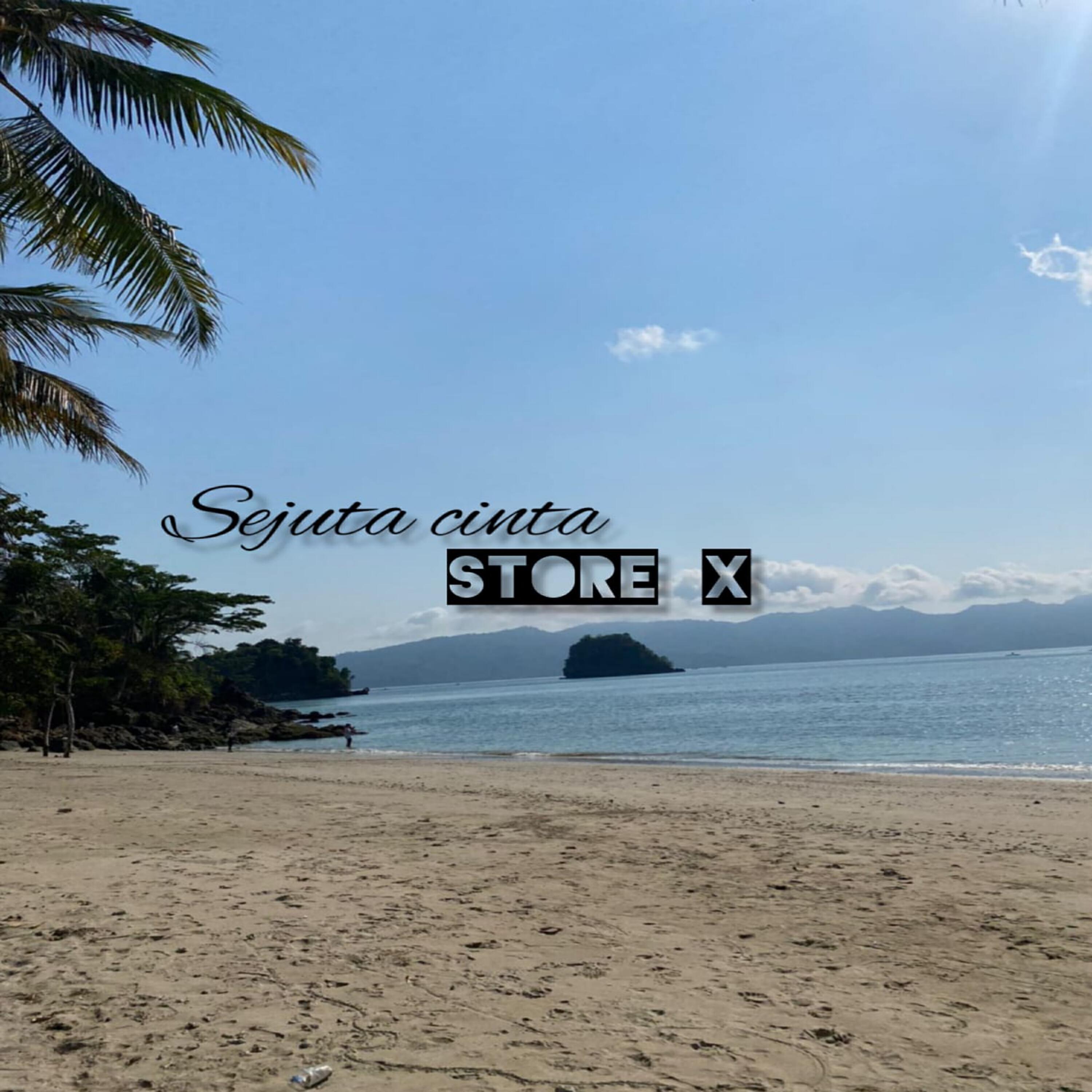 Store x