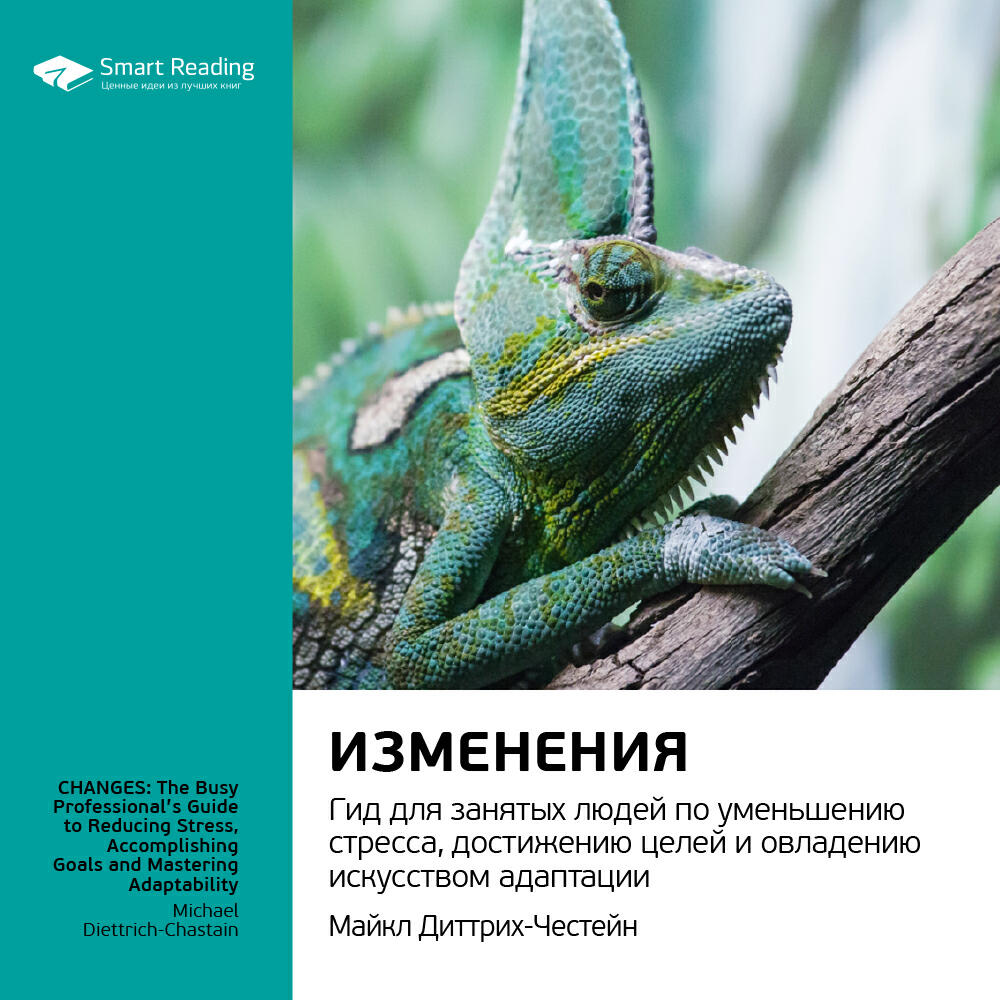 Книга Изменения. Гид для занятых людей по уменьшению стресса, достижению целей и овладению искусством адаптации. Майкл Диттрих-Честейн. Ключевые идеи книги