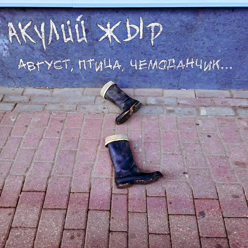 Релиз Август, птица, чемоданчик...