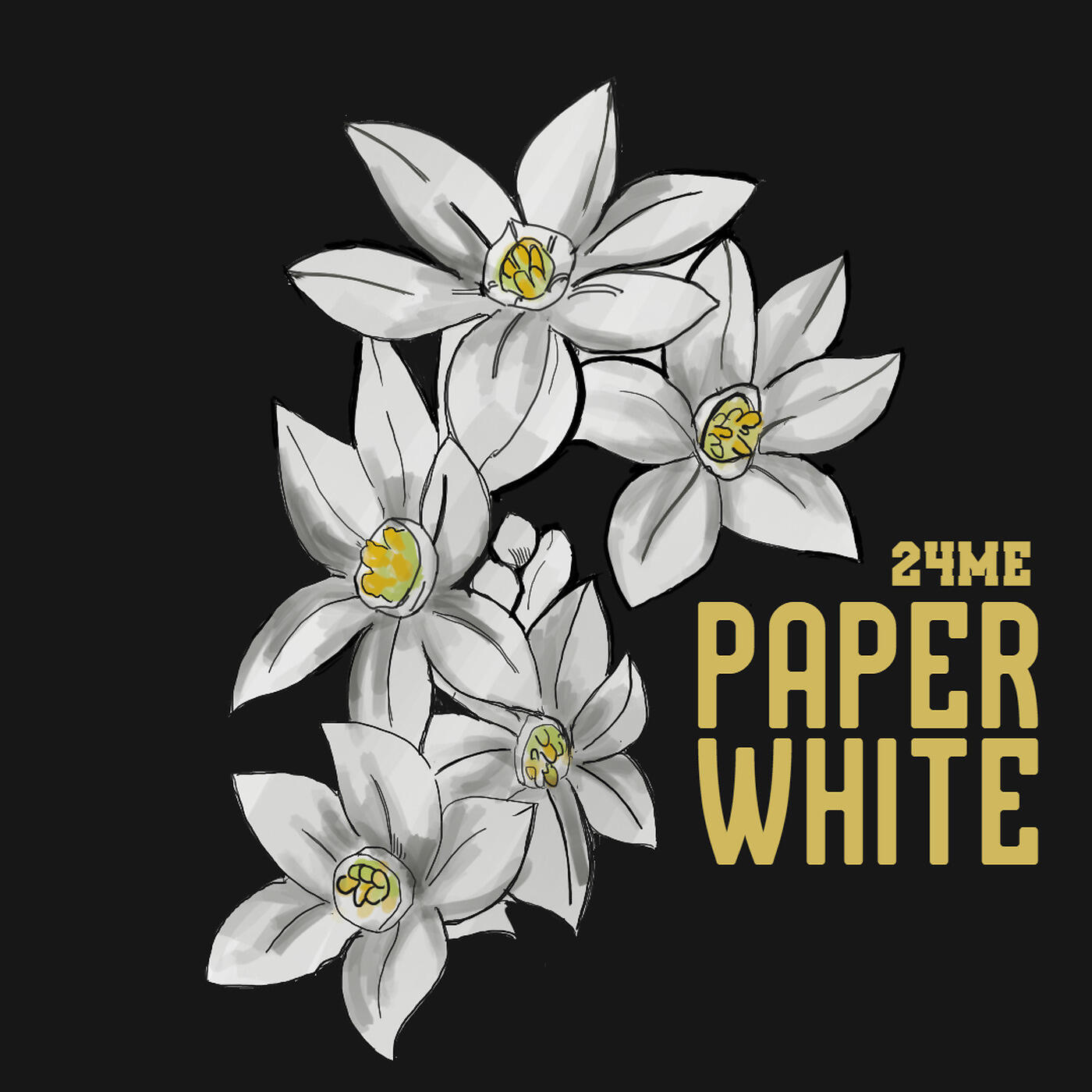 Релиз Paperwhite