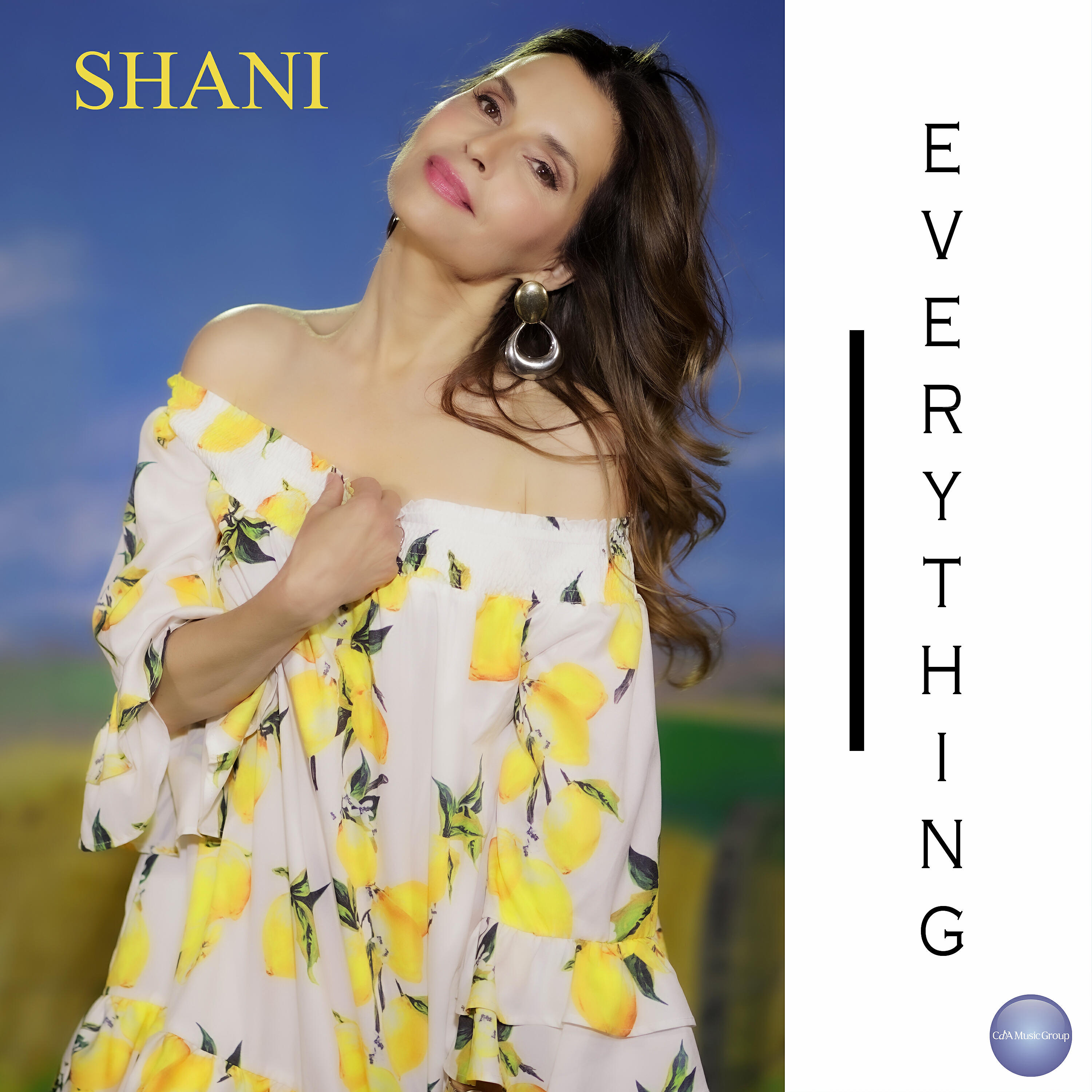 Скачать песню Shani - Everything бесплатно в MP3 для Android и iOS