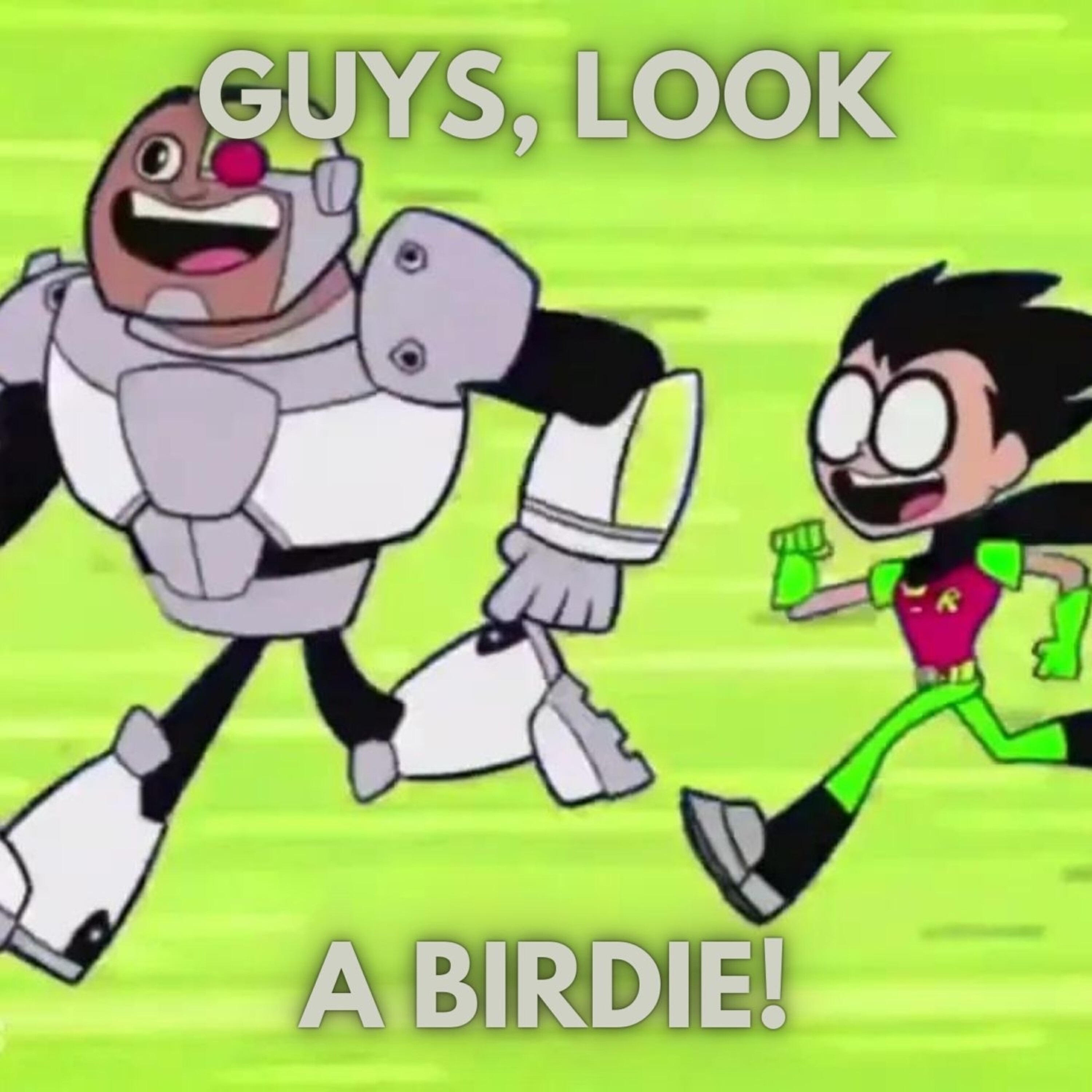 Релиз Guys, Look A Birdie!