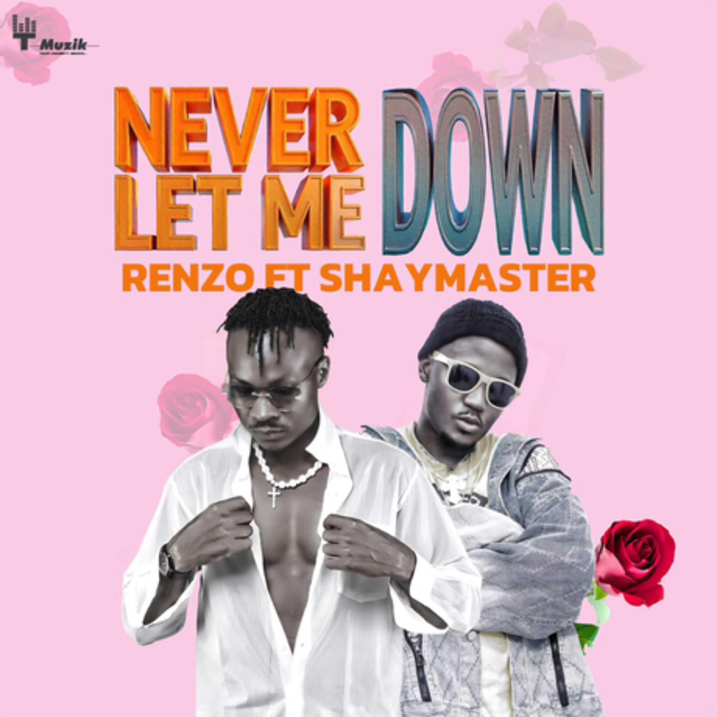 Релиз Never Let Me Down