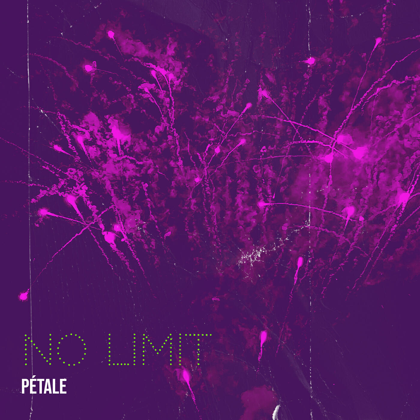 Релиз No Limit