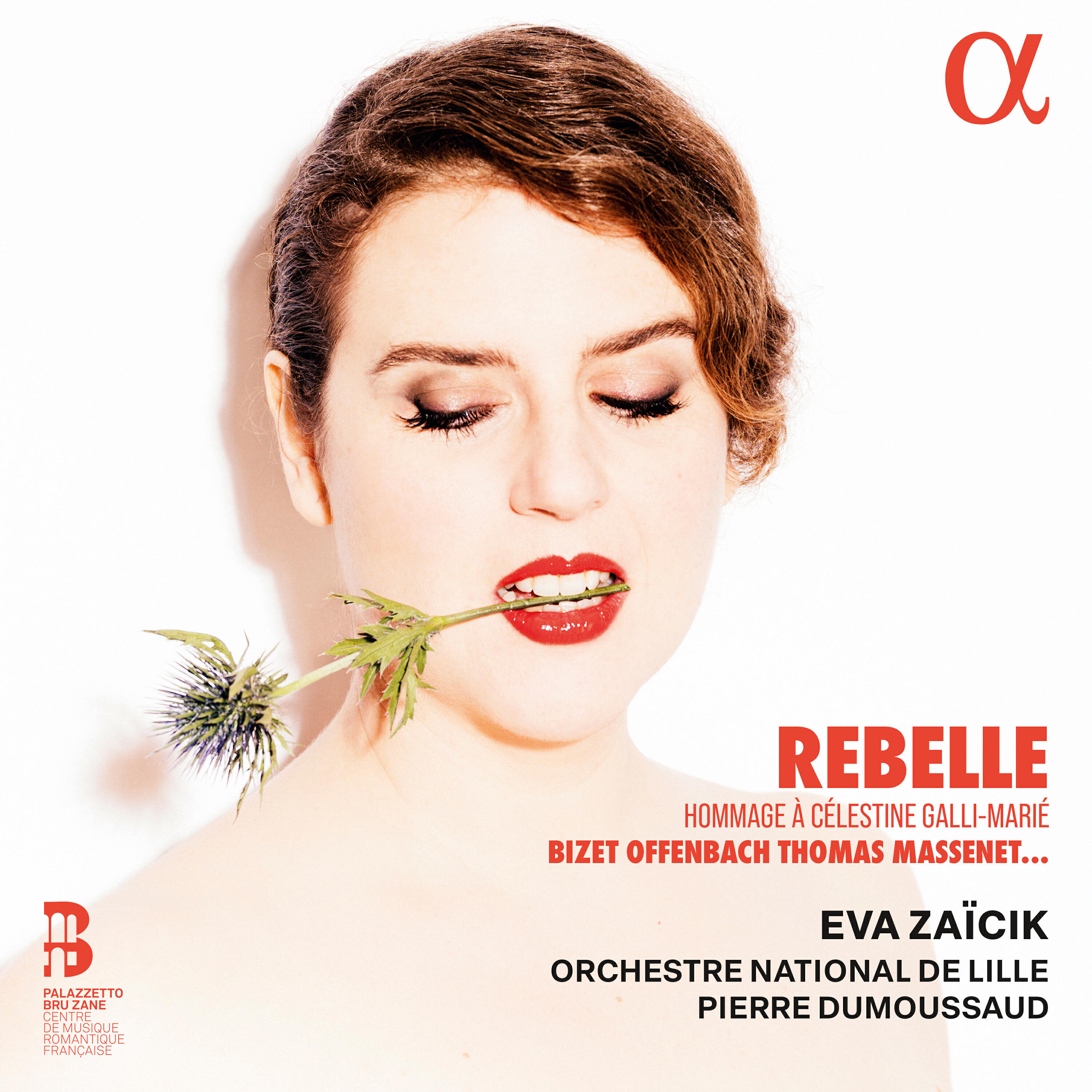 Релиз Rebelle