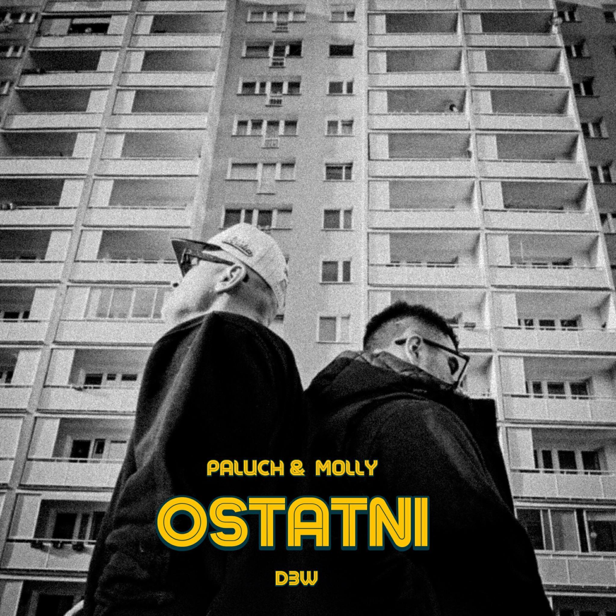 D3W все песни в mp3