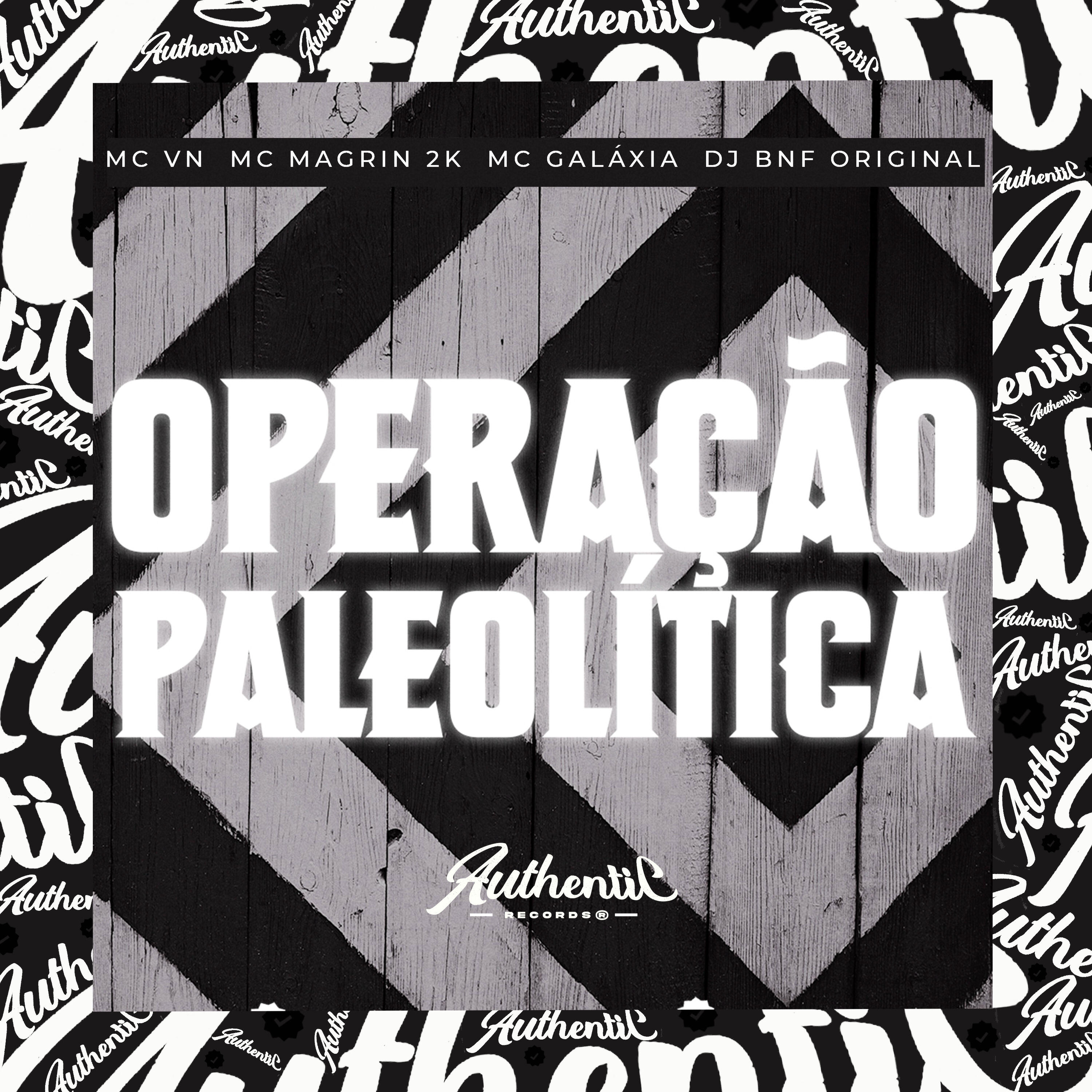 Скачать песню DJ BNF ORIGINAL, Mc Galaxia, Mc VN, Mc Magrin 2k - Operação Paleolítica бесплатно в MP3 для Android и iOS