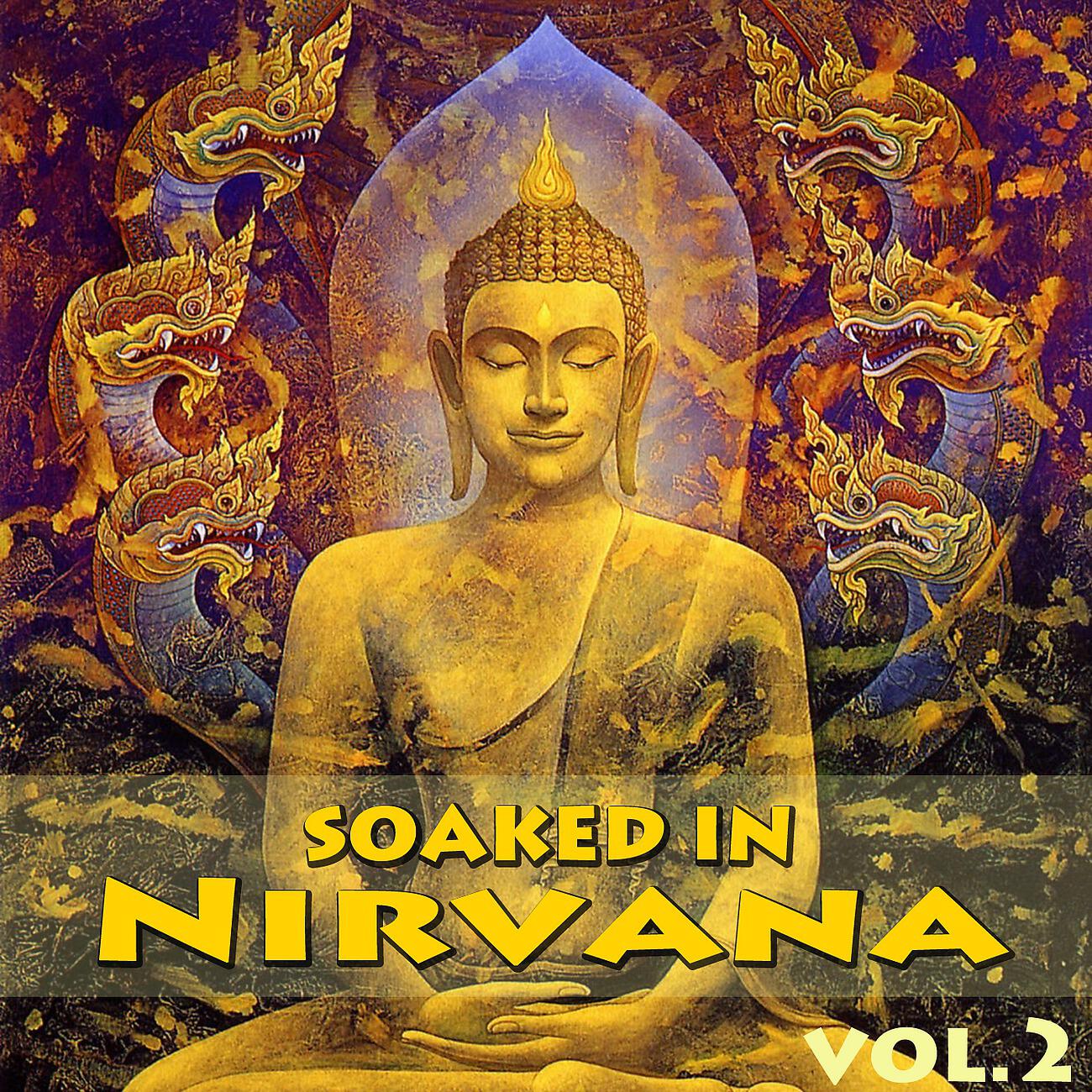 Релиз Soaked In Nirvana, Vol.2