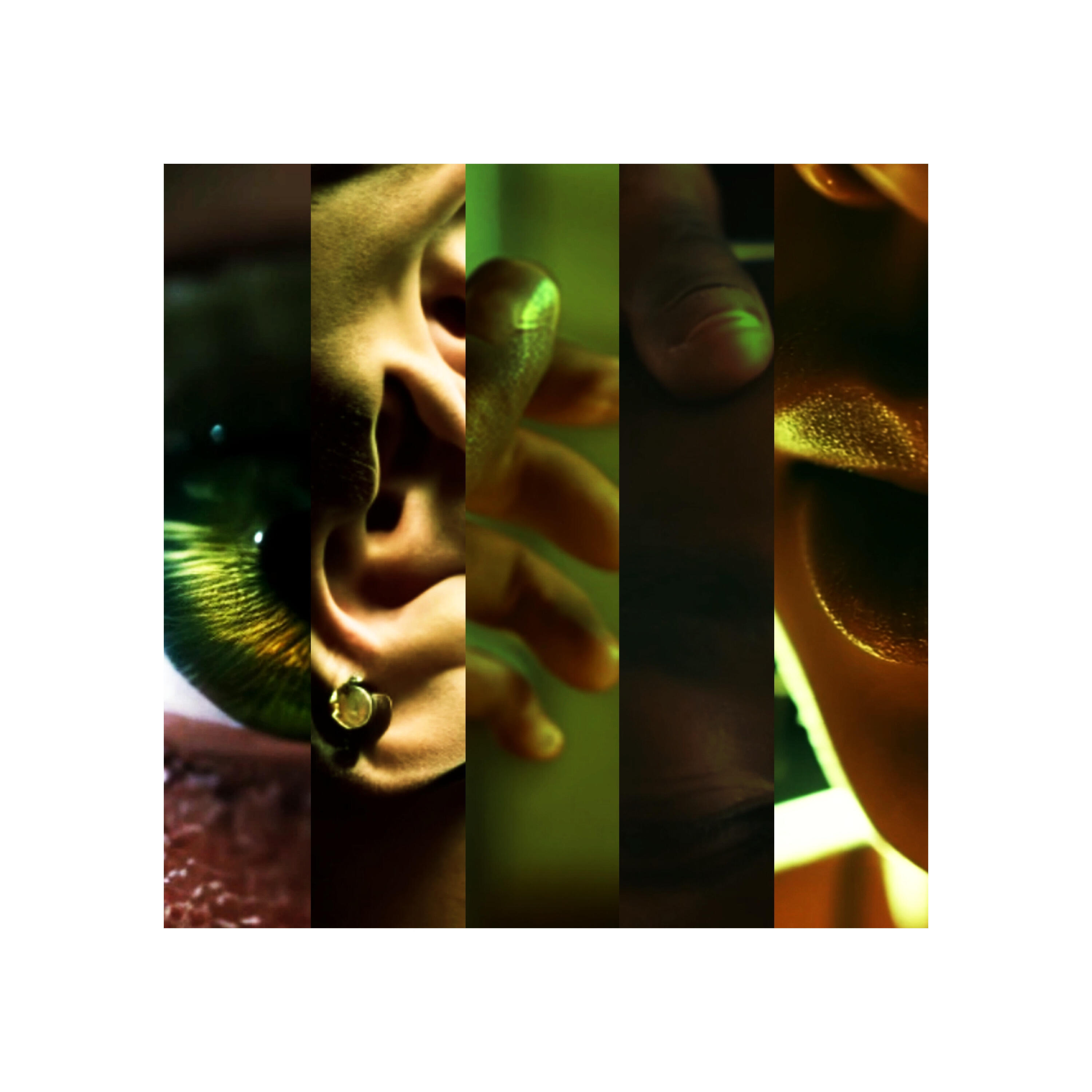 Релиз Enigma