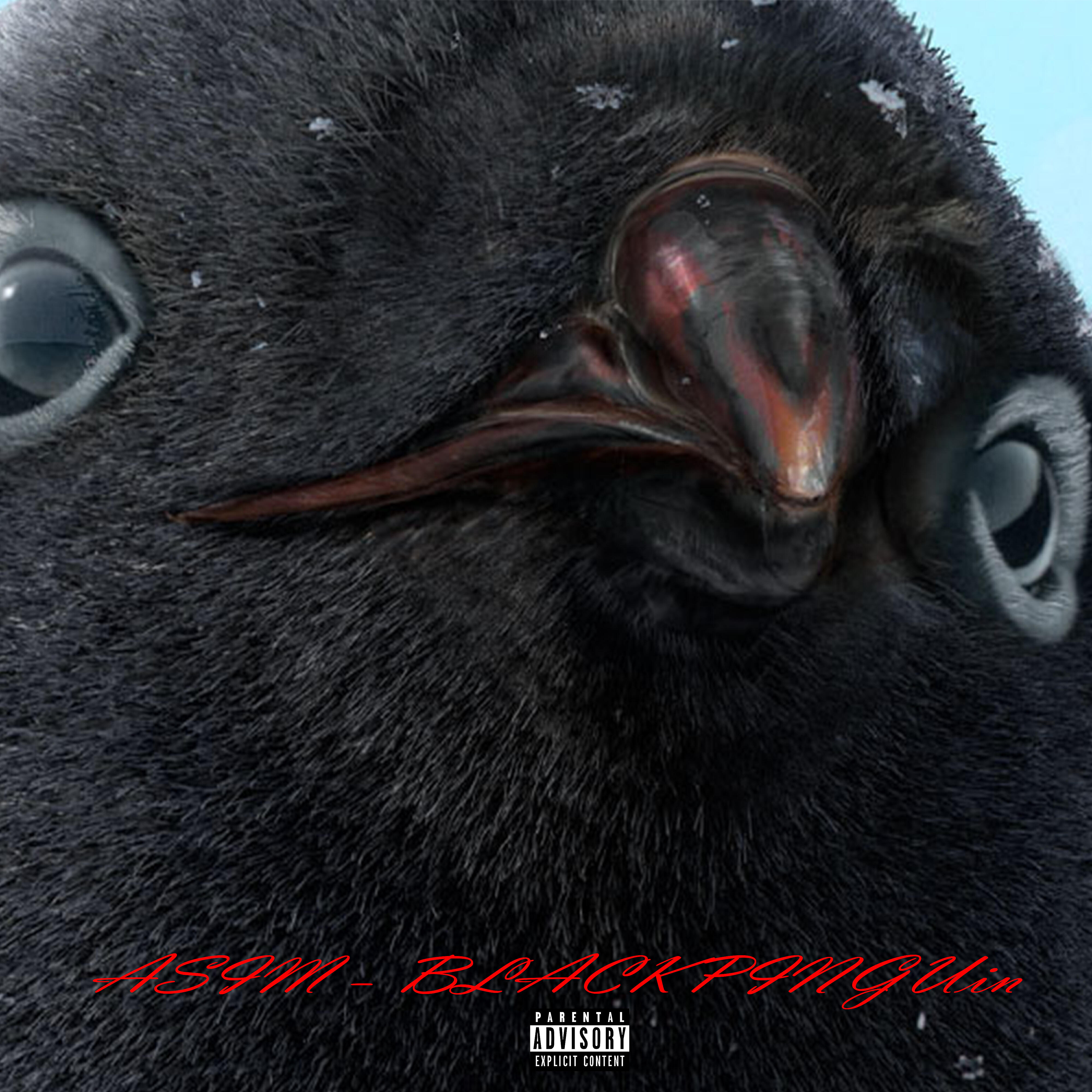 Релиз Blackpinguin