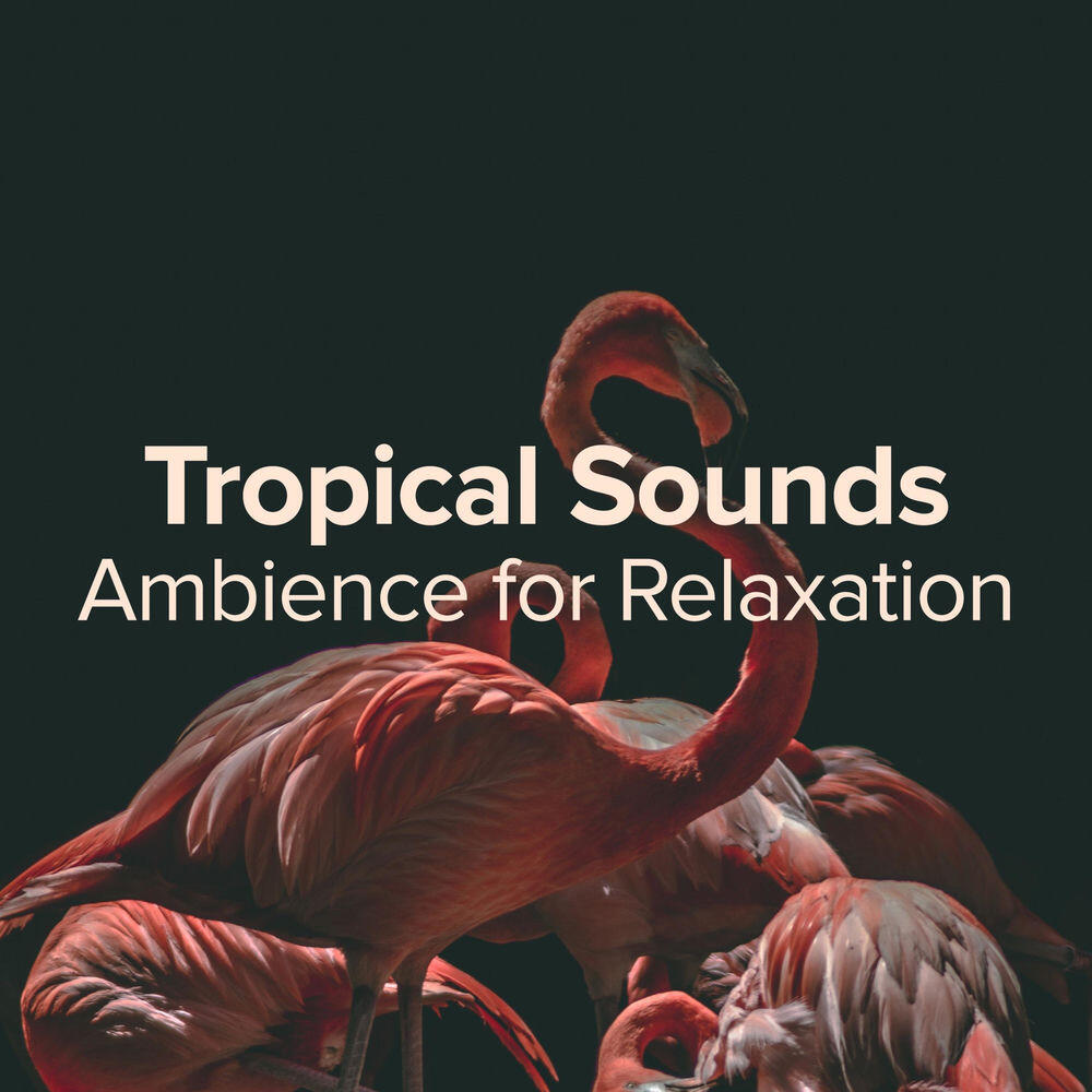 Relaxing Spa Music Therapy