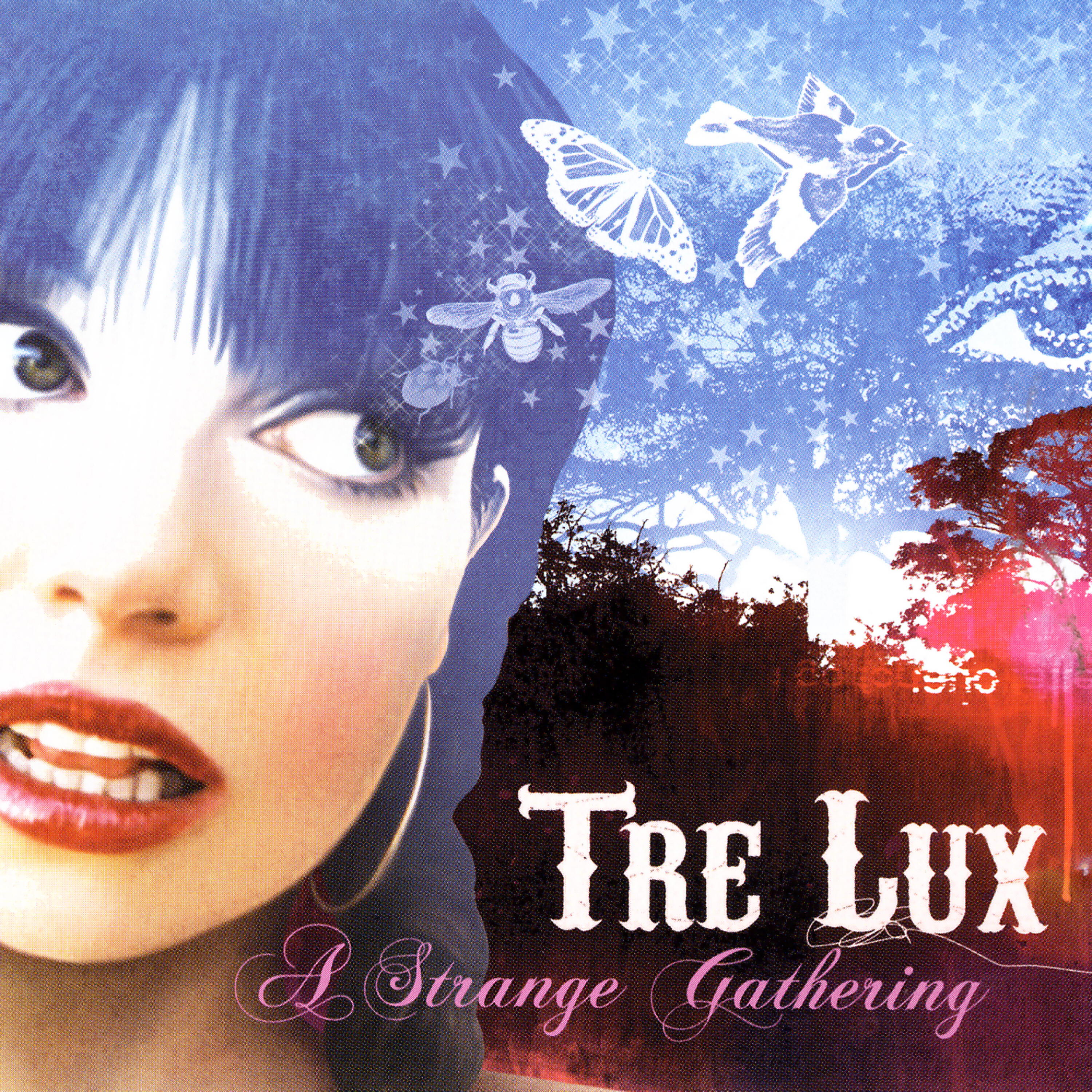 Релиз A Strange Gathering