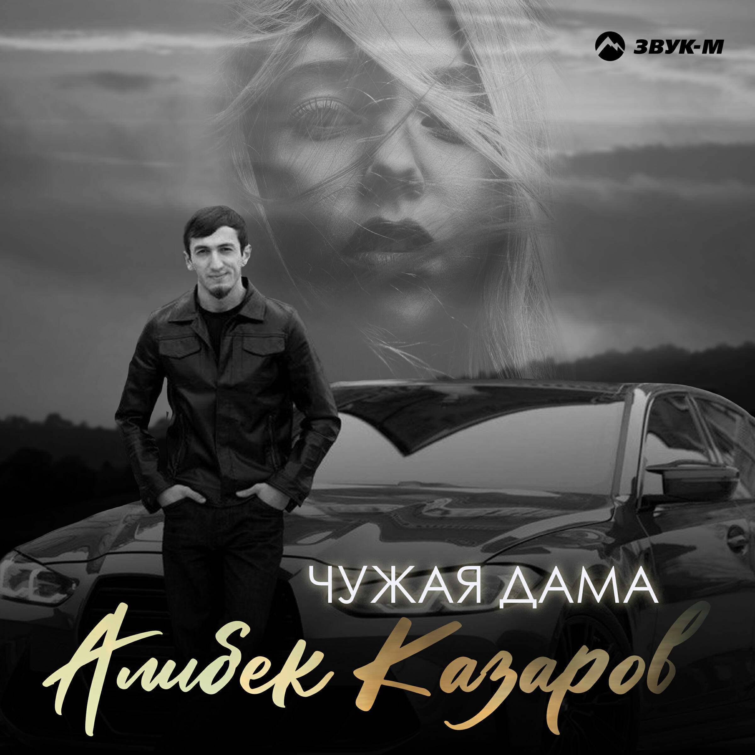 Постер альбома Чужая дама