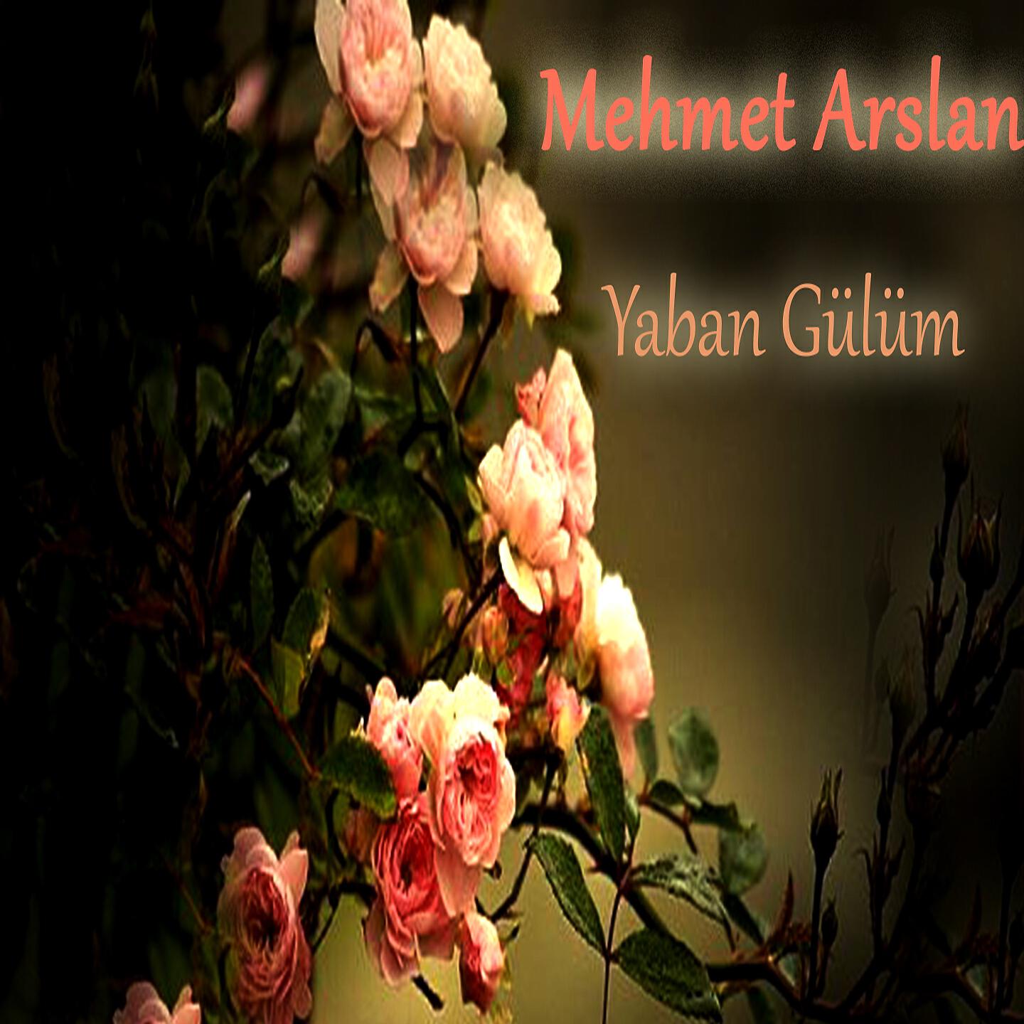 Релиз Yaban Gülüm