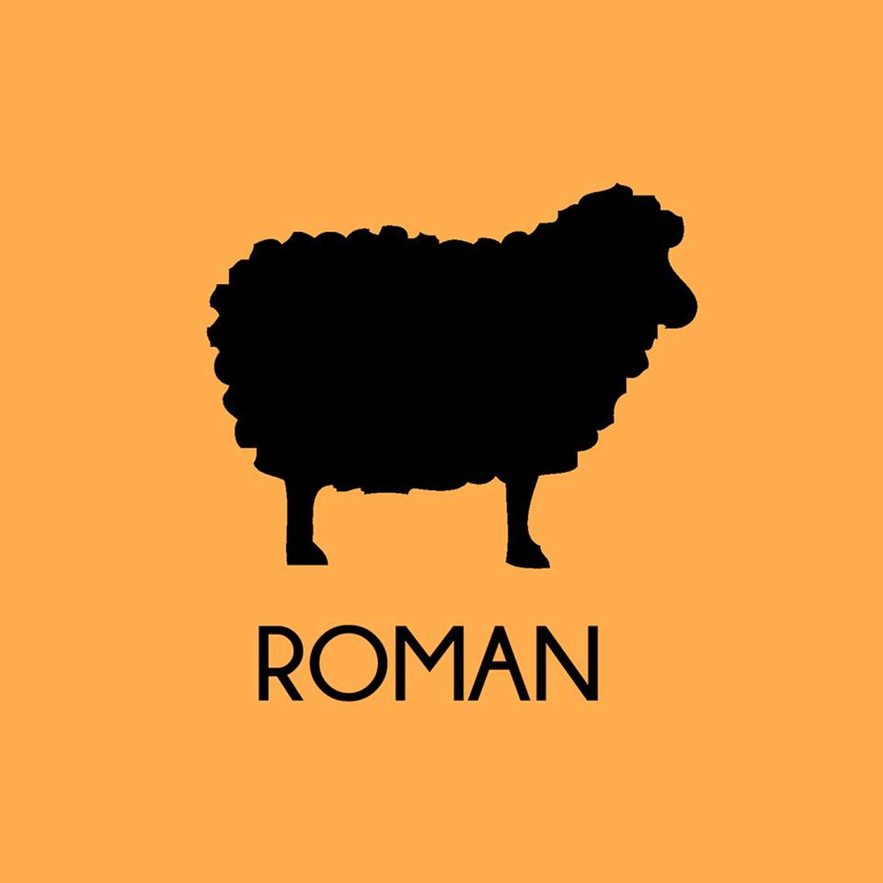 Релиз ROMÁN