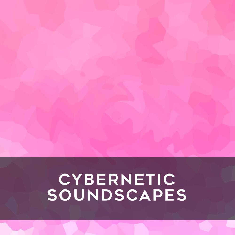 Релиз Cybernetic Soundscapes