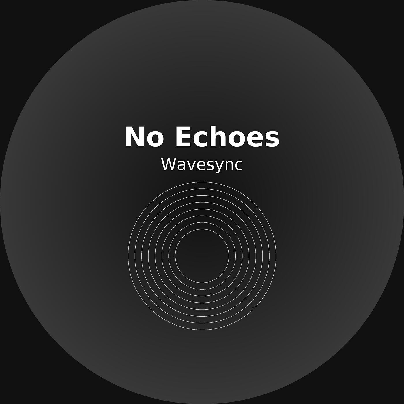 Релиз No Echoes