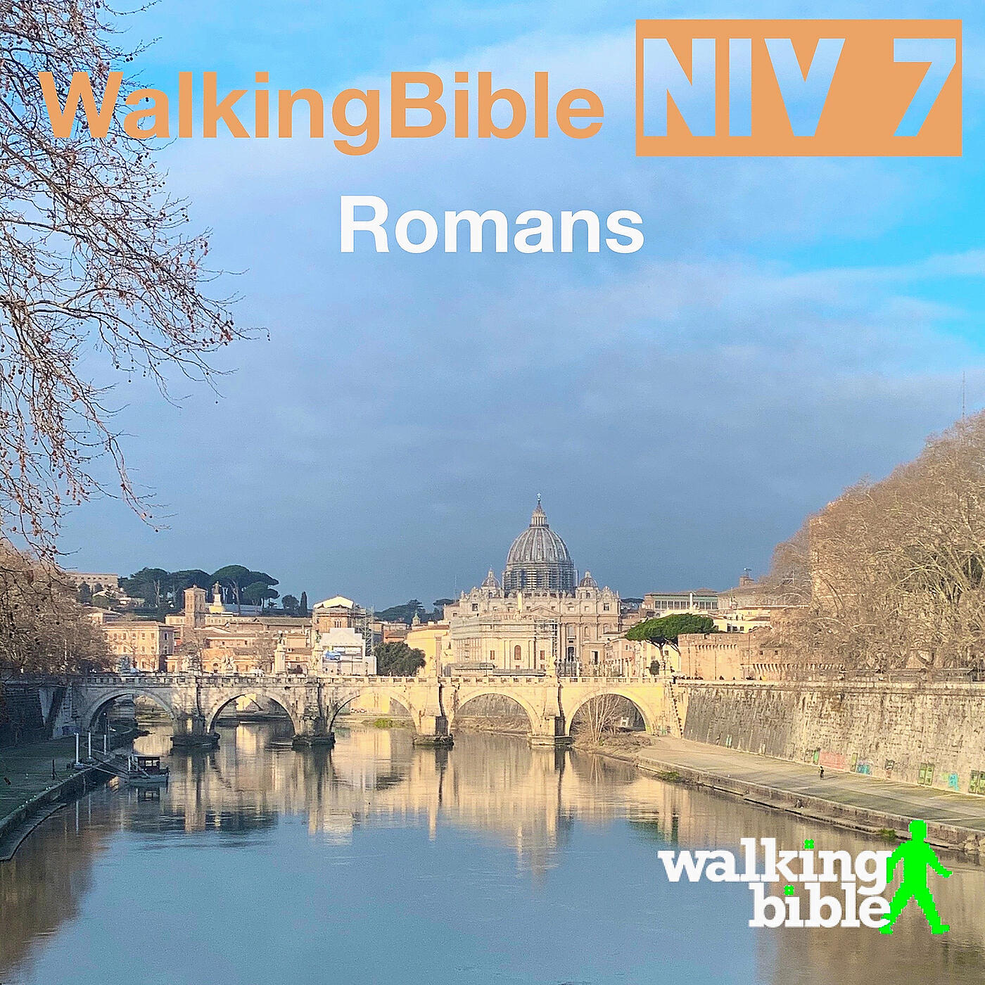 Релиз WalkingBible Niv 7 Romans