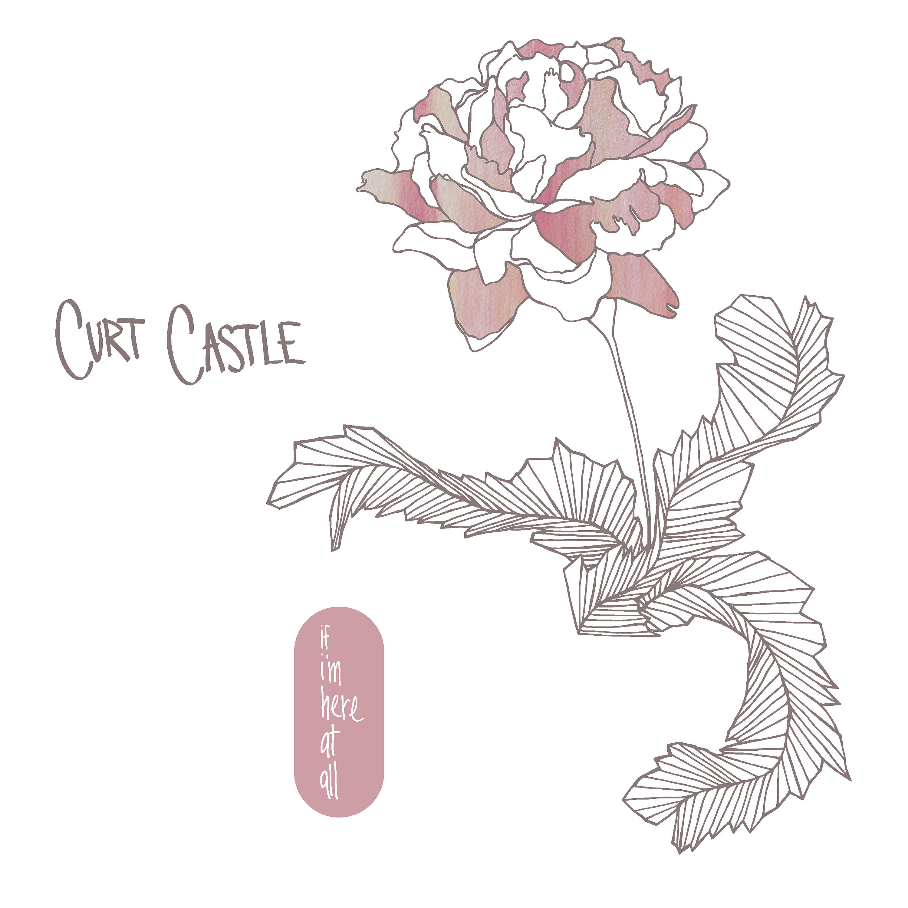 Curt Castle