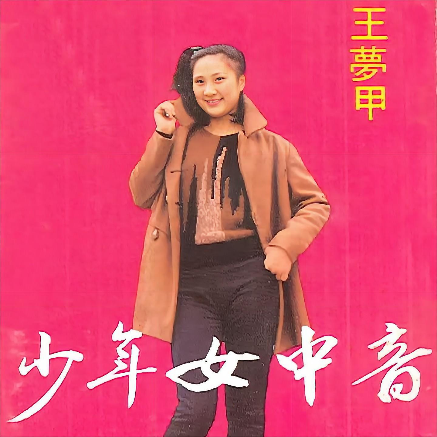 Релиз 少年女中音