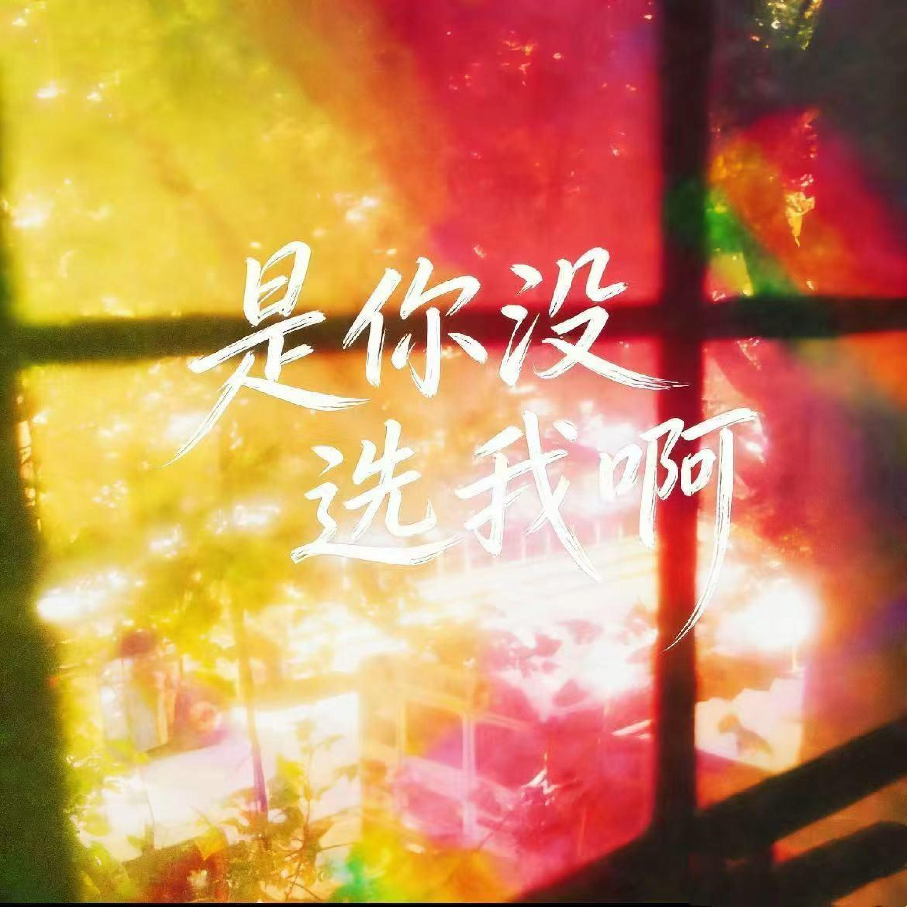 Релиз 是你没选我啊