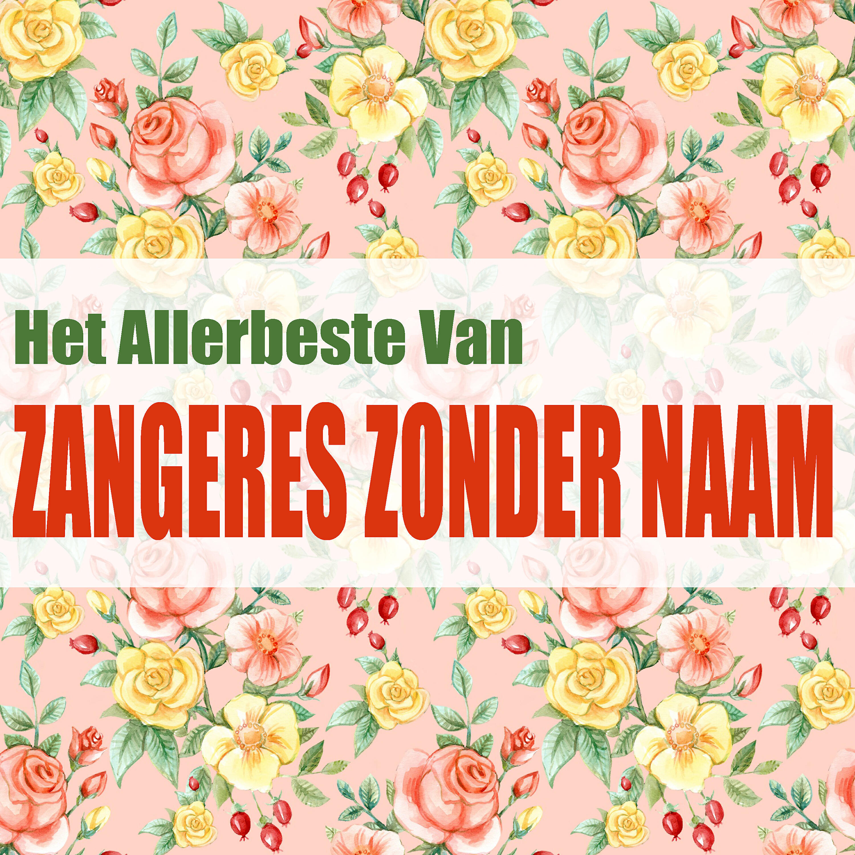 Релиз Het Allerbeste Van Zangeres Zonder Naam