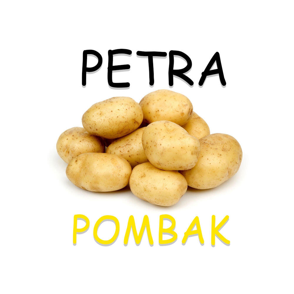 Релиз PETRA