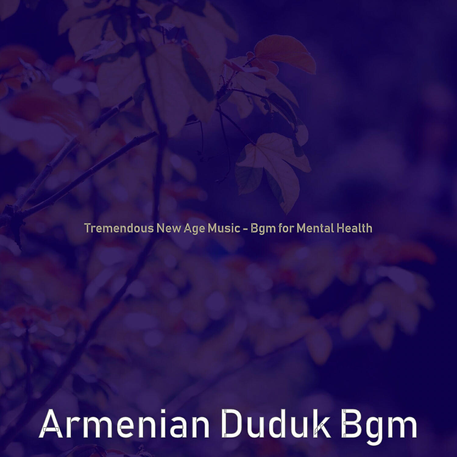 Релиз Tremendous New Age Music - Bgm for Mental Health