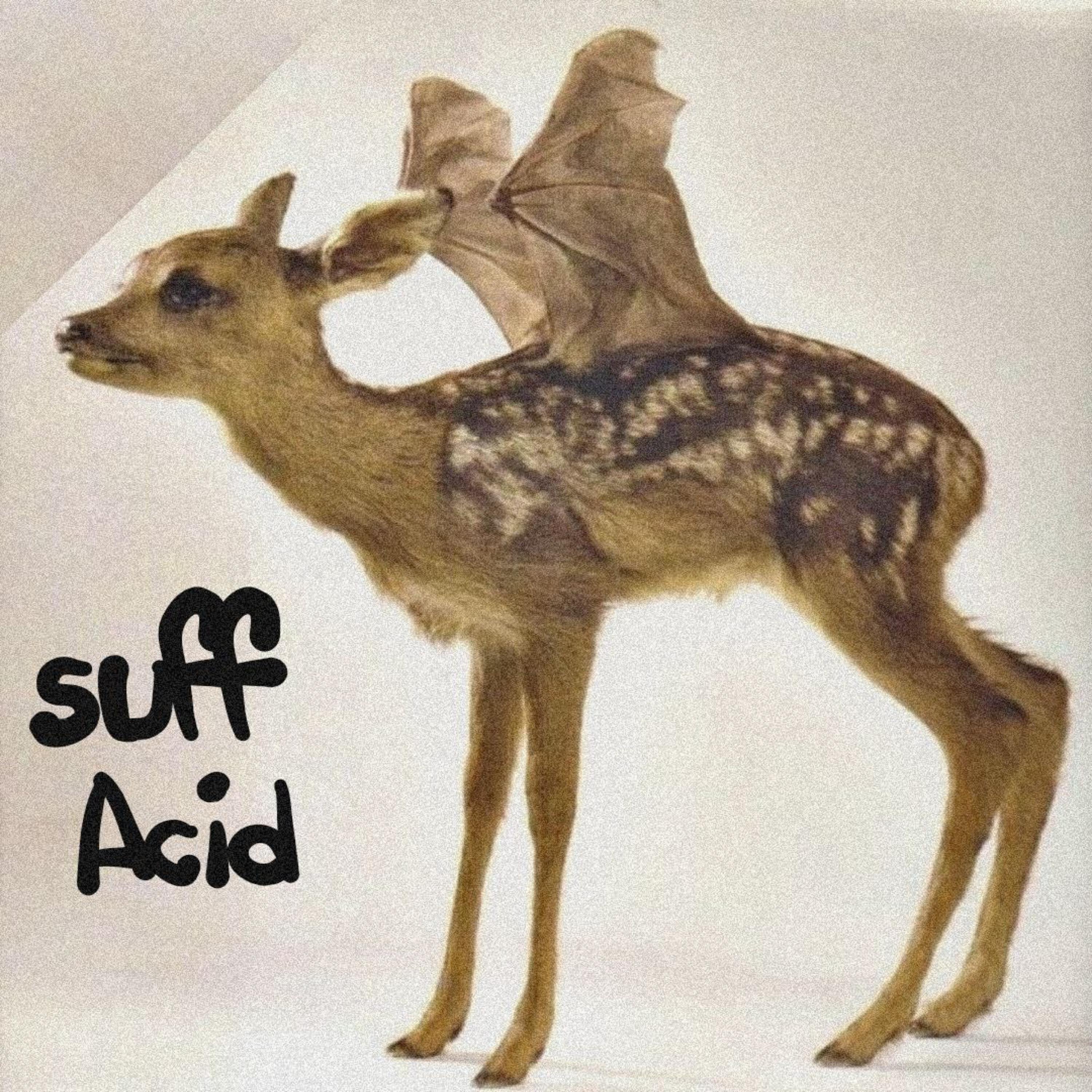 Релиз Acid