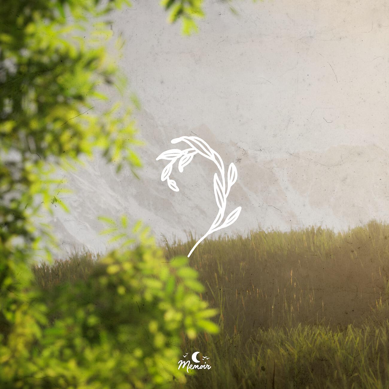 Релиз Silk
