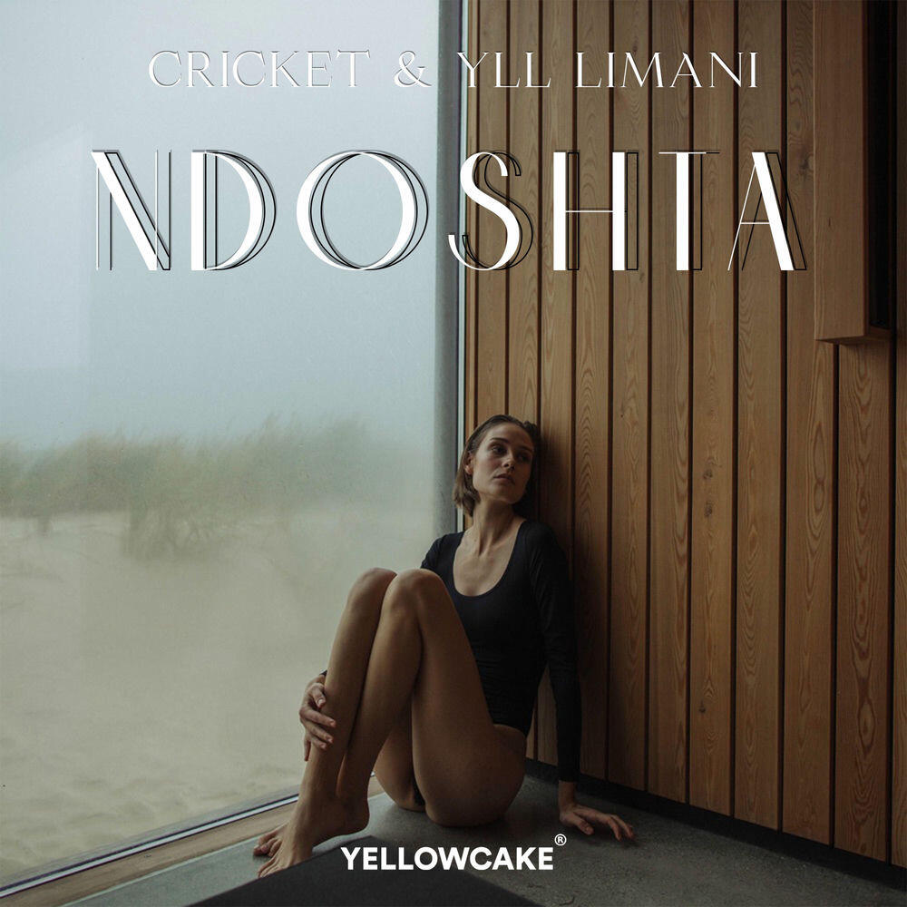 Релиз Ndoshta