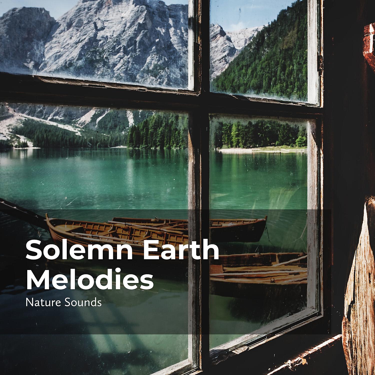 Релиз Solemn Earth Melodies