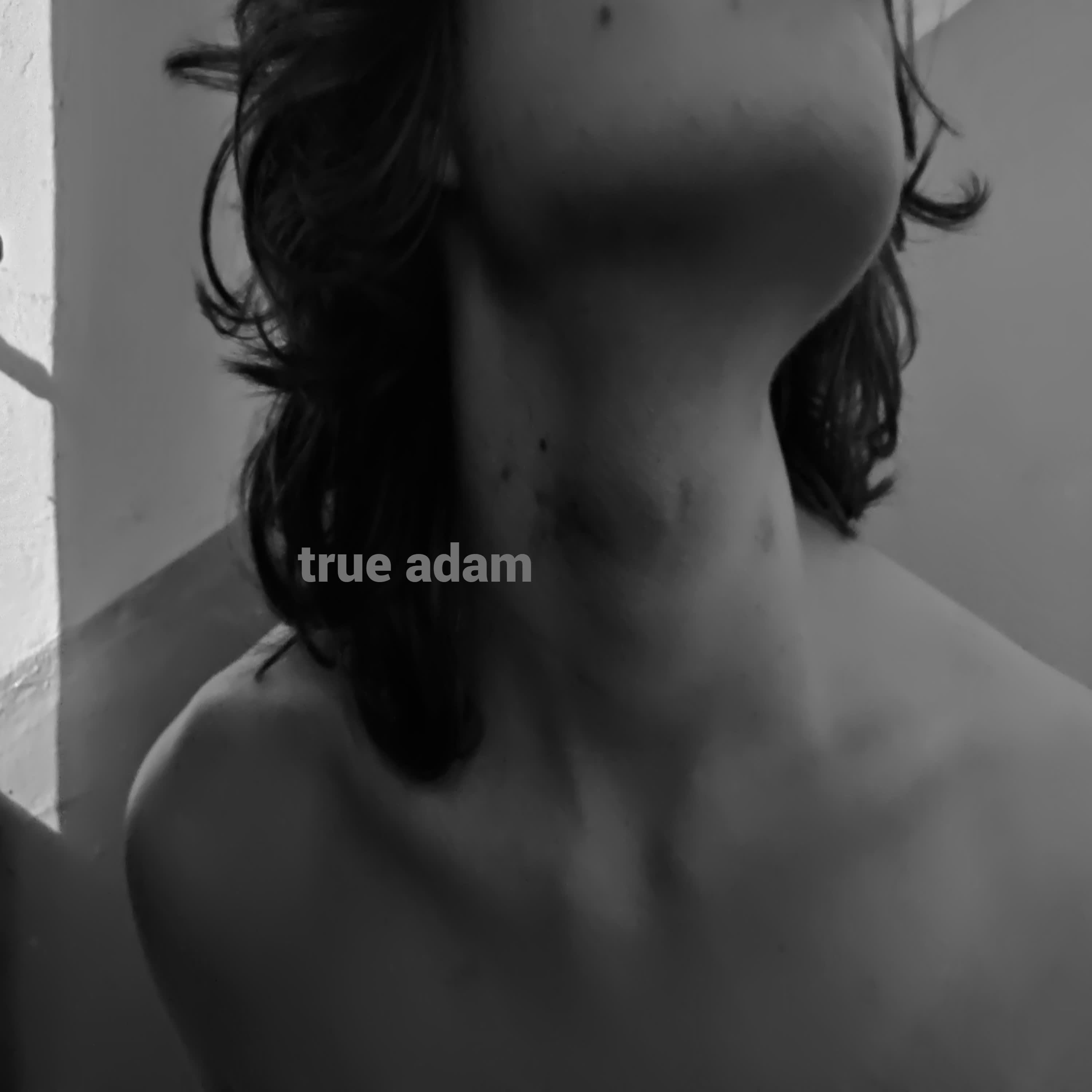 Релиз true adam