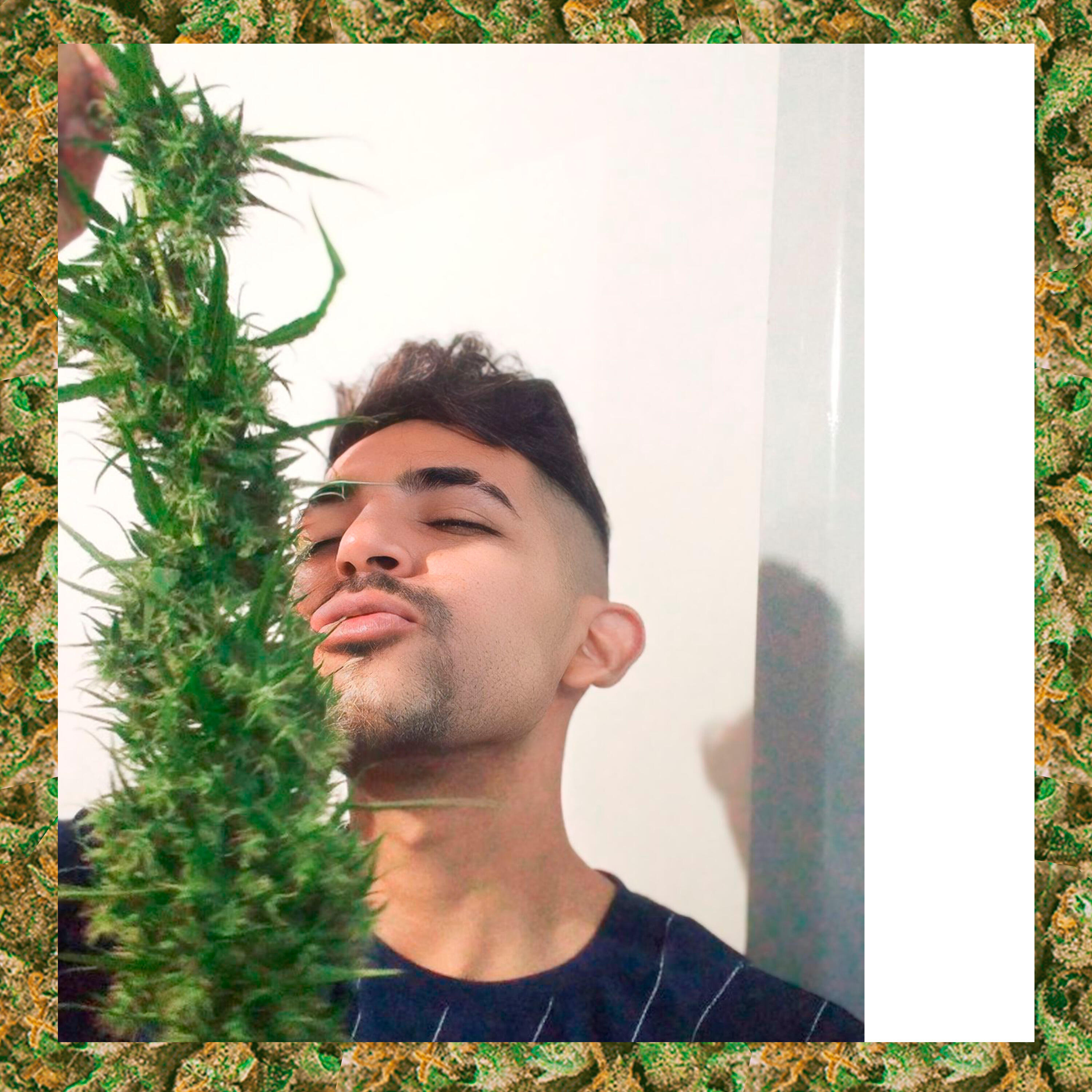 Релиз Erva Medicinal