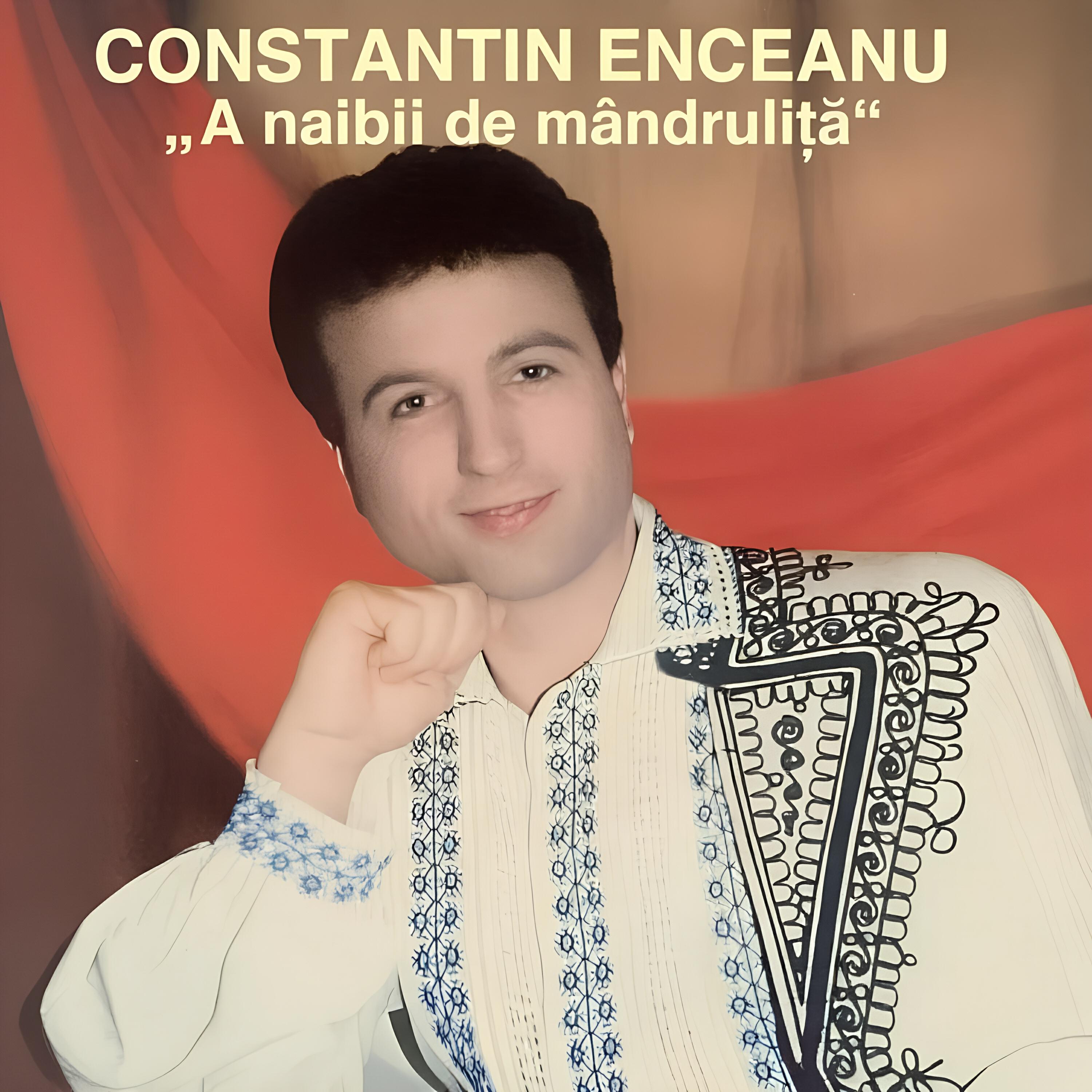 Релиз Zece Arici Înamorați / Noi Nu Ne Temem