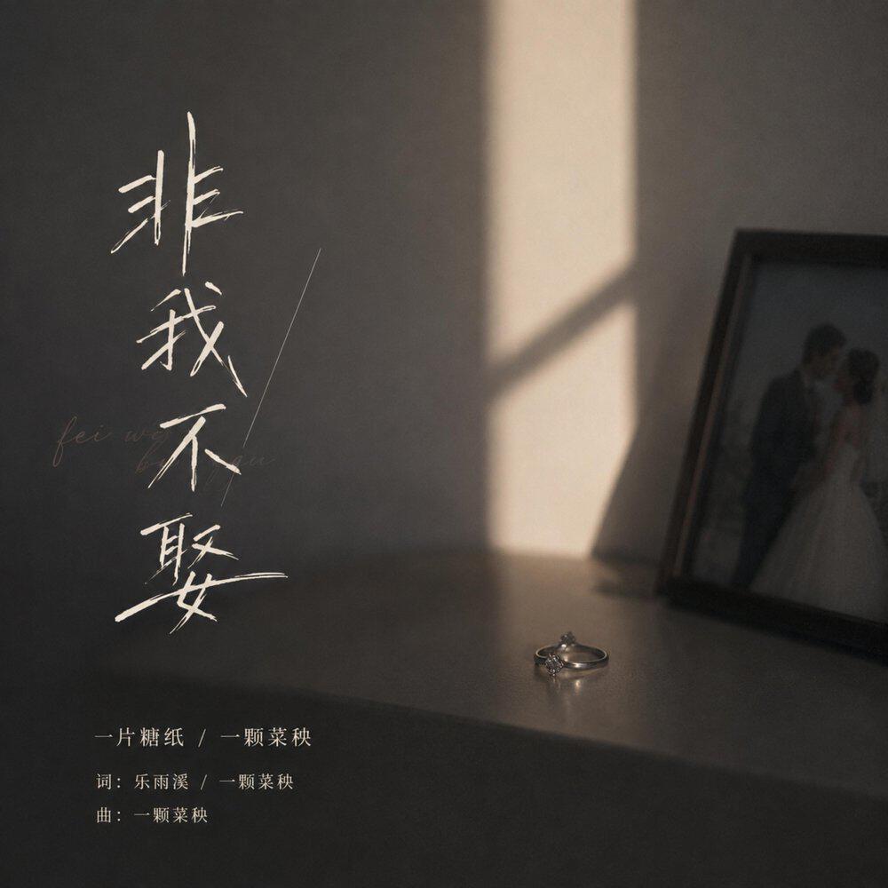 Релиз 非我不娶