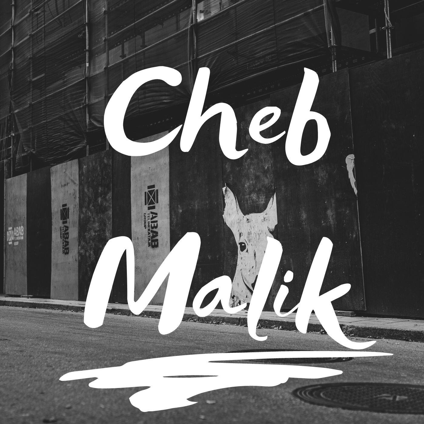 Релиз Rayit Alik Chehal